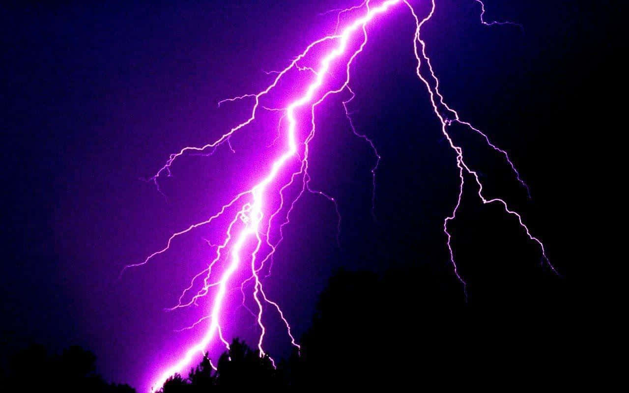 Purple Lightning 桌布 壁紙 — 一道鮮豔的紫色閃電在黑暗的夜空中分叉，掠過剪影般的樹梢。