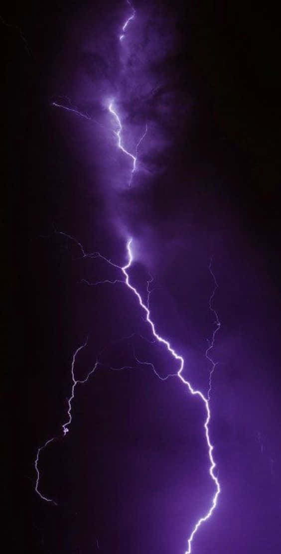 Cool Lightning 桌布 壁紙 — 一道鮮豔的紫色閃電在黑暗的暴風雨天空中戲劇性地分叉，形成垂直構圖。