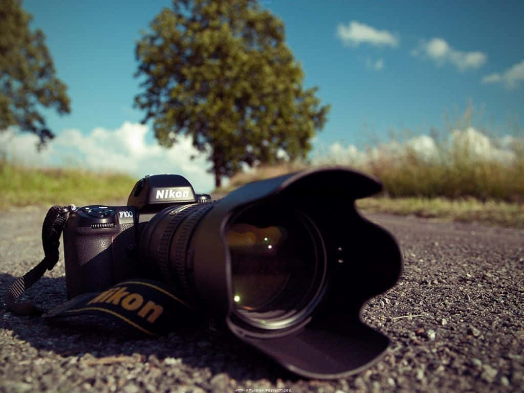 攝影 桌布 壁紙 — 一部 Nikon DSLR 相機擱在碎石上，背後是明亮的藍天和柔焦的綠樹。