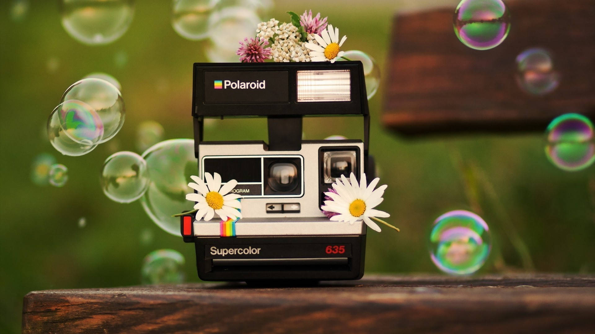 拍立得 桌布 壁紙 — 一部復古Polaroid 635相機，飾有雛菊和三葉草，放置在木頭上，周圍漂浮著肥皂泡，背景為柔和的綠色。