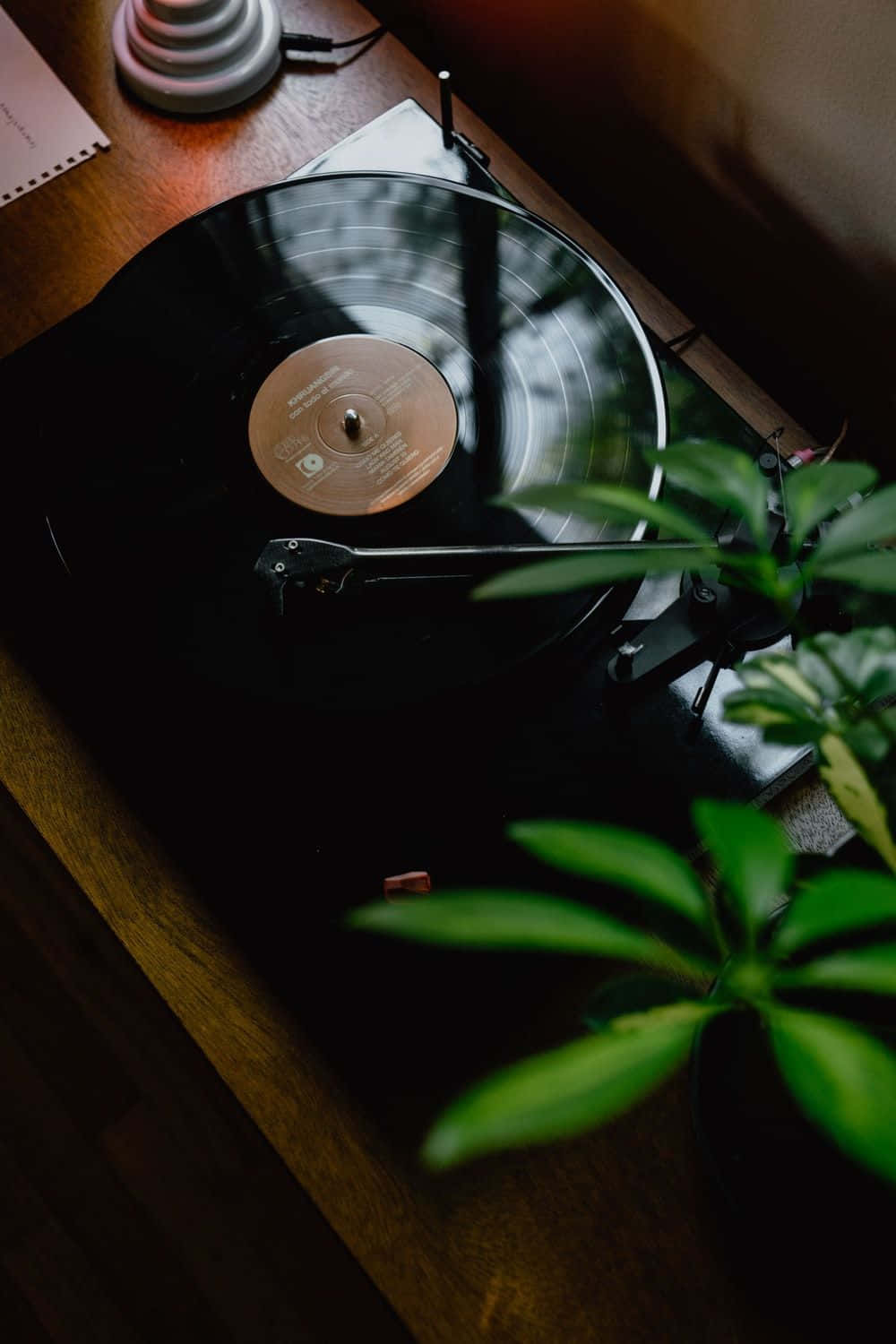 Vinyl Record 桌布 壁紙 — 一部復古唱盤機在溫暖的環境光下，於木桌上轉動黑膠唱片，旁邊放著一盆茂盛的綠色植物。