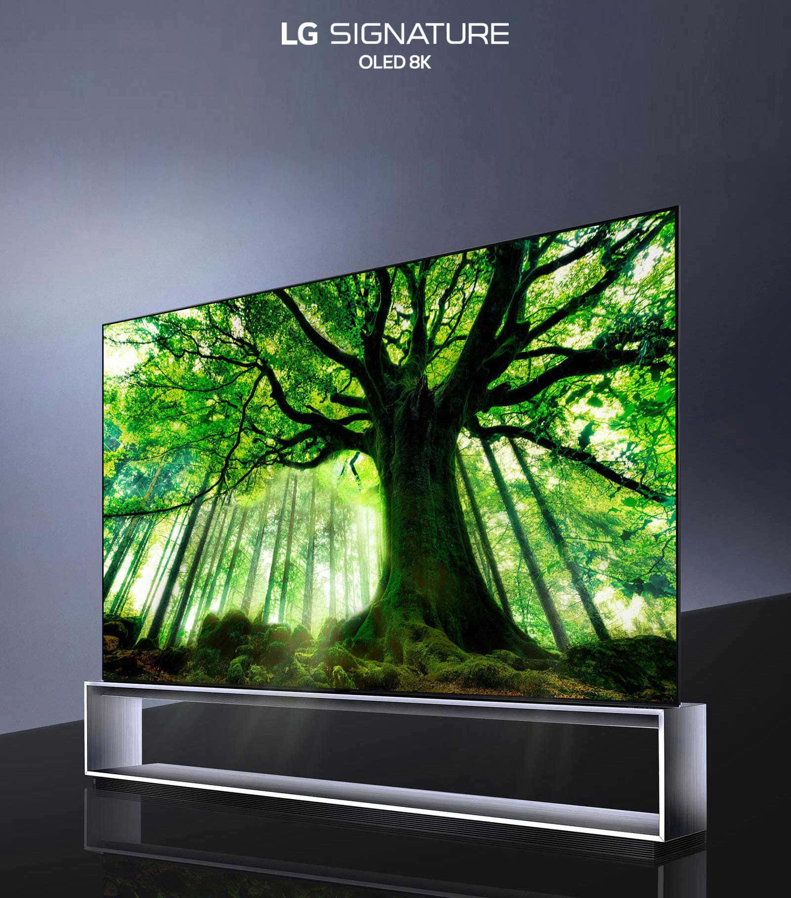科技動圖 桌布 壁紙 — 一部時尚的LG OLED電視顯示出一個生動的森林場景，有一棵巨大的樹和陽光穿過茂密的綠葉。