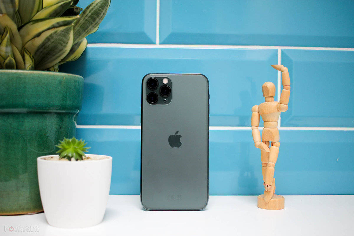 iPhone 11 桌布 壁紙 — 一部時尚的灰色iPhone放在白色架子上，旁邊有一個木製藝術家模型和盆栽多肉植物，背景是充滿活力的藍色瓷磚牆。