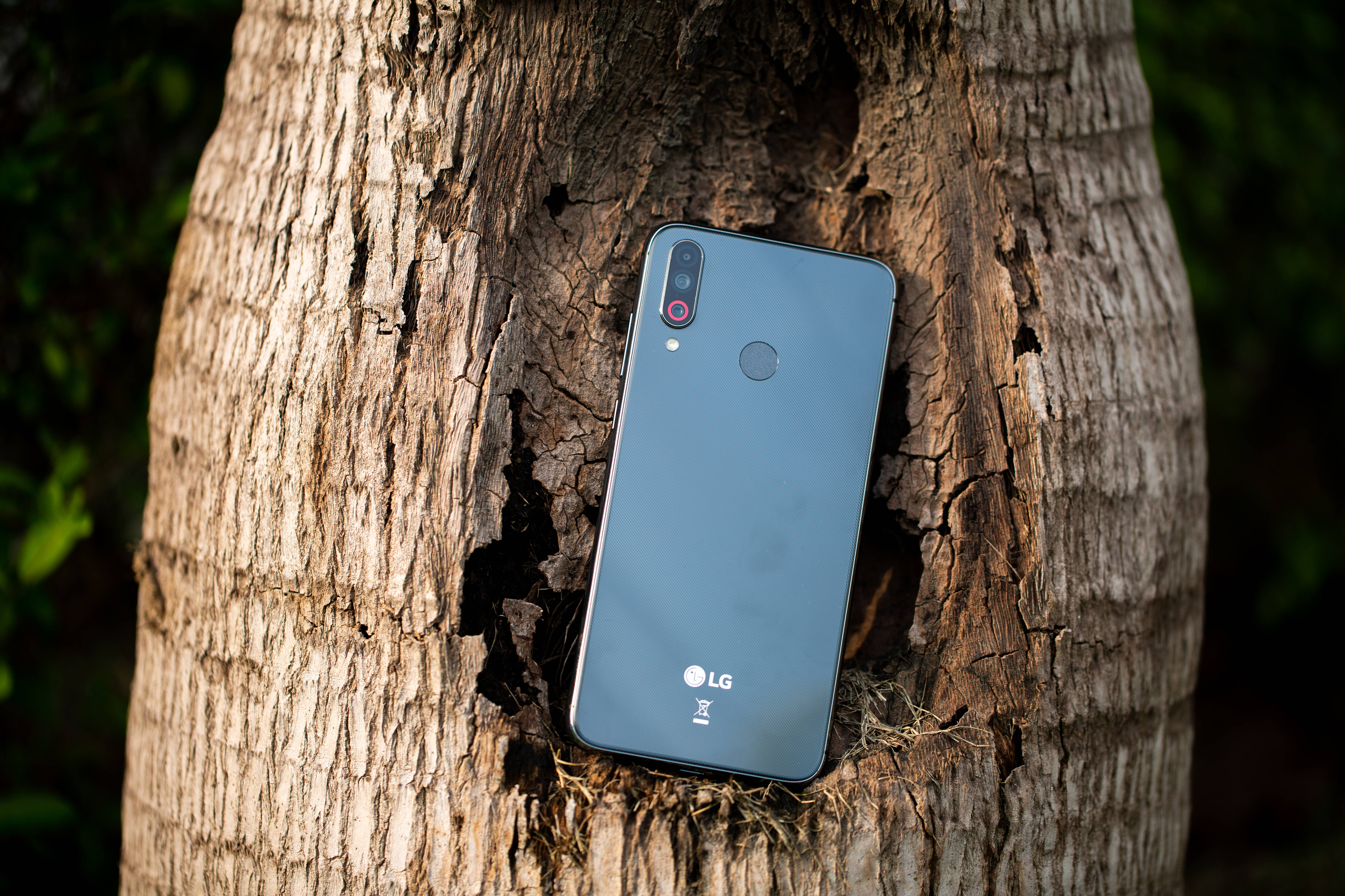 Lg Phone 桌布 壁紙 — 一部時尚的藍色LG智慧型手機放置在風化樹幹的粗糙凹陷處，周圍環繞著綠色樹葉。