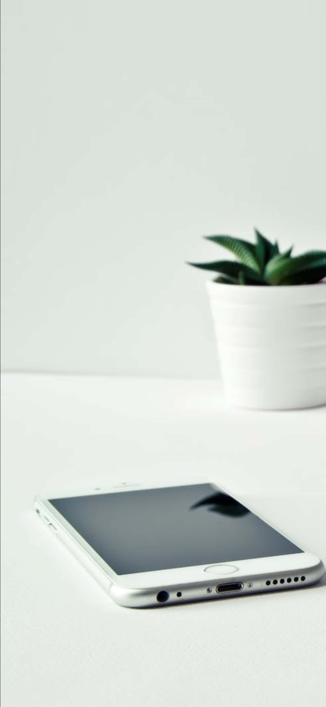 Desk 桌布 壁紙 — 一部時尚的銀色智慧型手機放在簡約的白色表面上，旁邊有一小盆白色陶瓷盆栽的多肉植物。