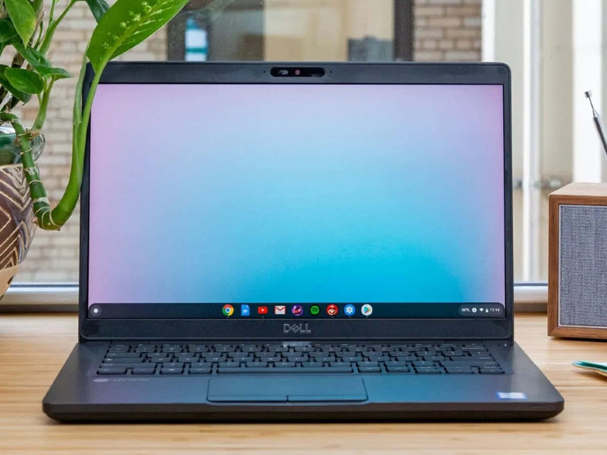 Chromebook 桌布 壁紙 — 一部時尚的黑色 Dell 筆記型電腦打開放在木桌上，旁邊有一盆植物和一個帶有藍紫漸變螢幕的喇叭。