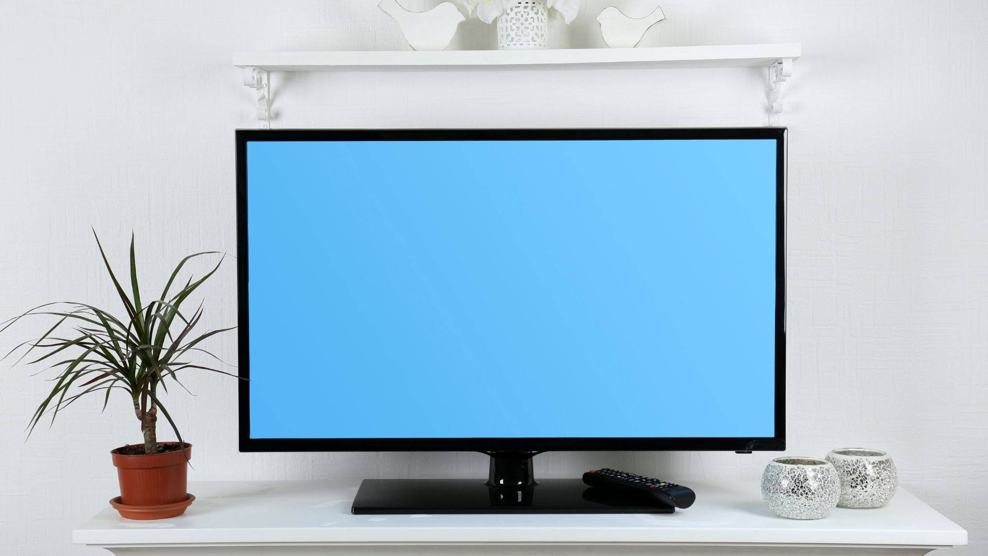 tv 桌布 壁紙 — 一部時尚的黑色電視機，帶有純藍色螢幕，放置在白色架子上，兩側有盆栽植物和裝飾罐。