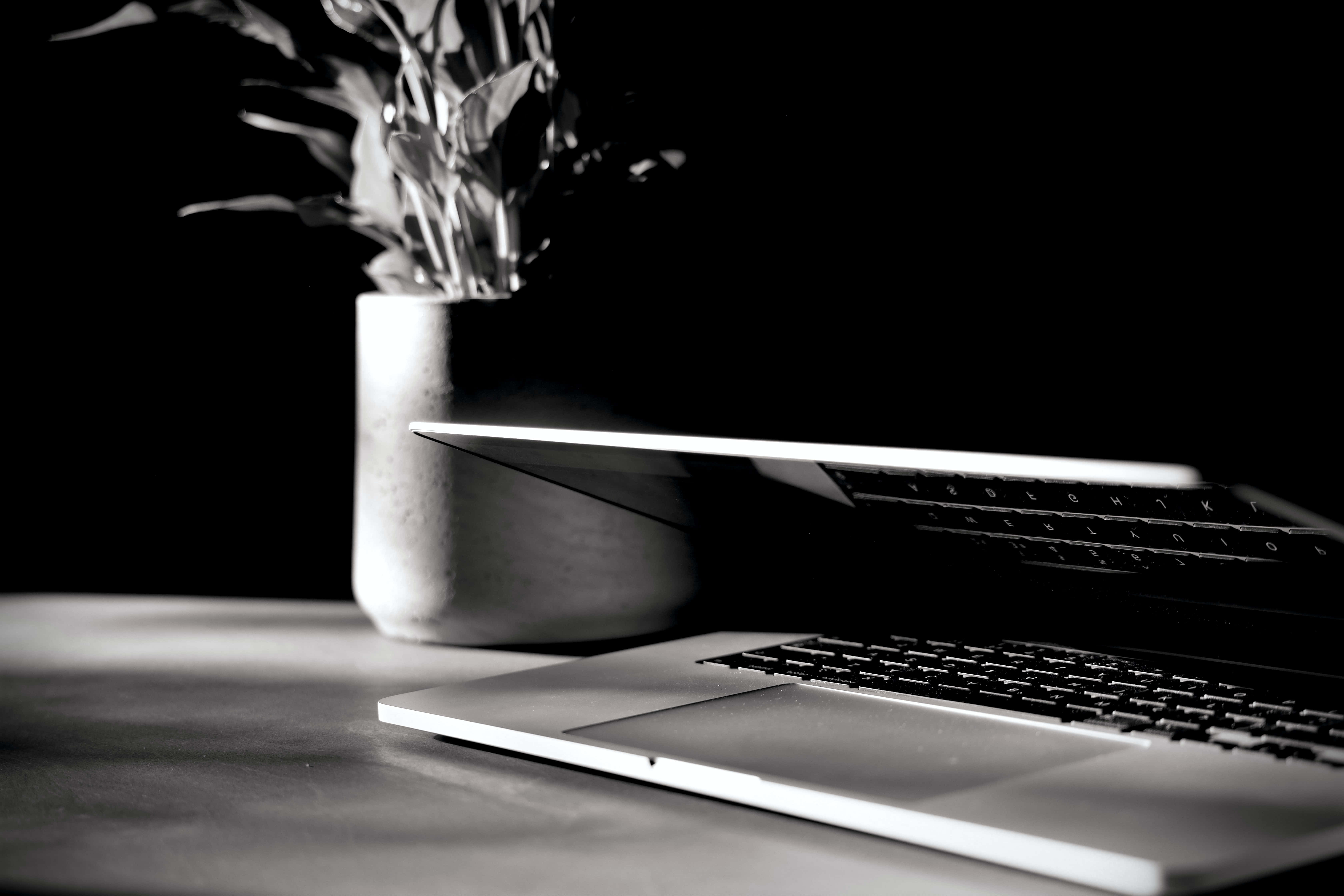Twitter Header 桌布 壁紙 — 一部時尚筆記型電腦放在簡約書桌上，旁邊有一盆盆栽，在戲劇性的黑白燈光下。