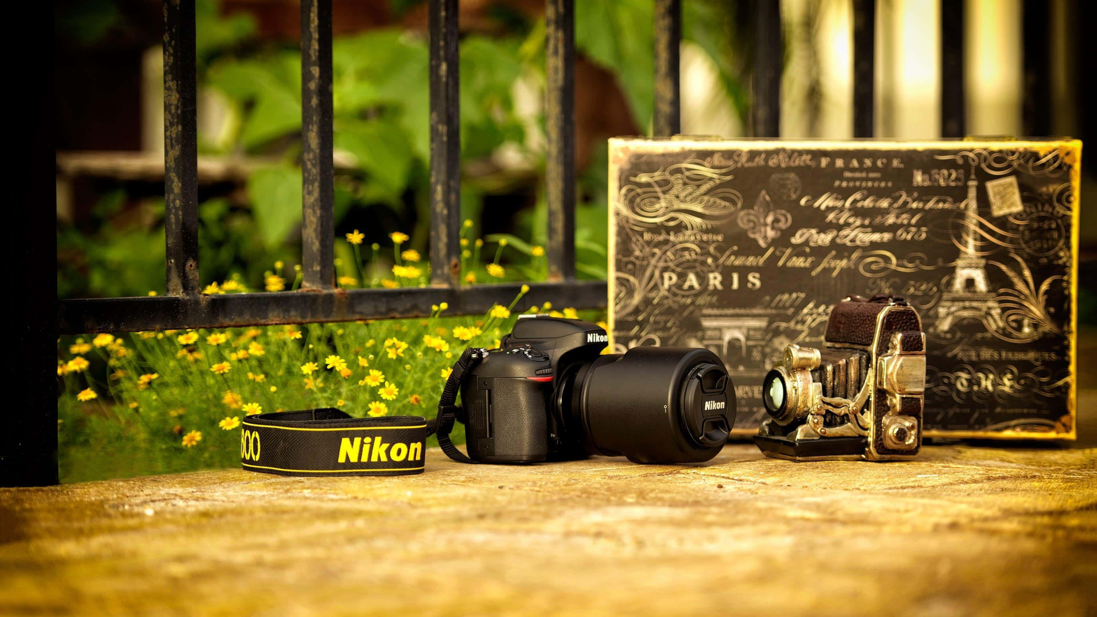 攝影 桌布 壁紙 — 一部現代Nikon DSLR和一部復古相機放在一條石徑上，旁邊有一個巴黎主題的盒子，周圍有黃色花朵和黑色鐵欄杆。