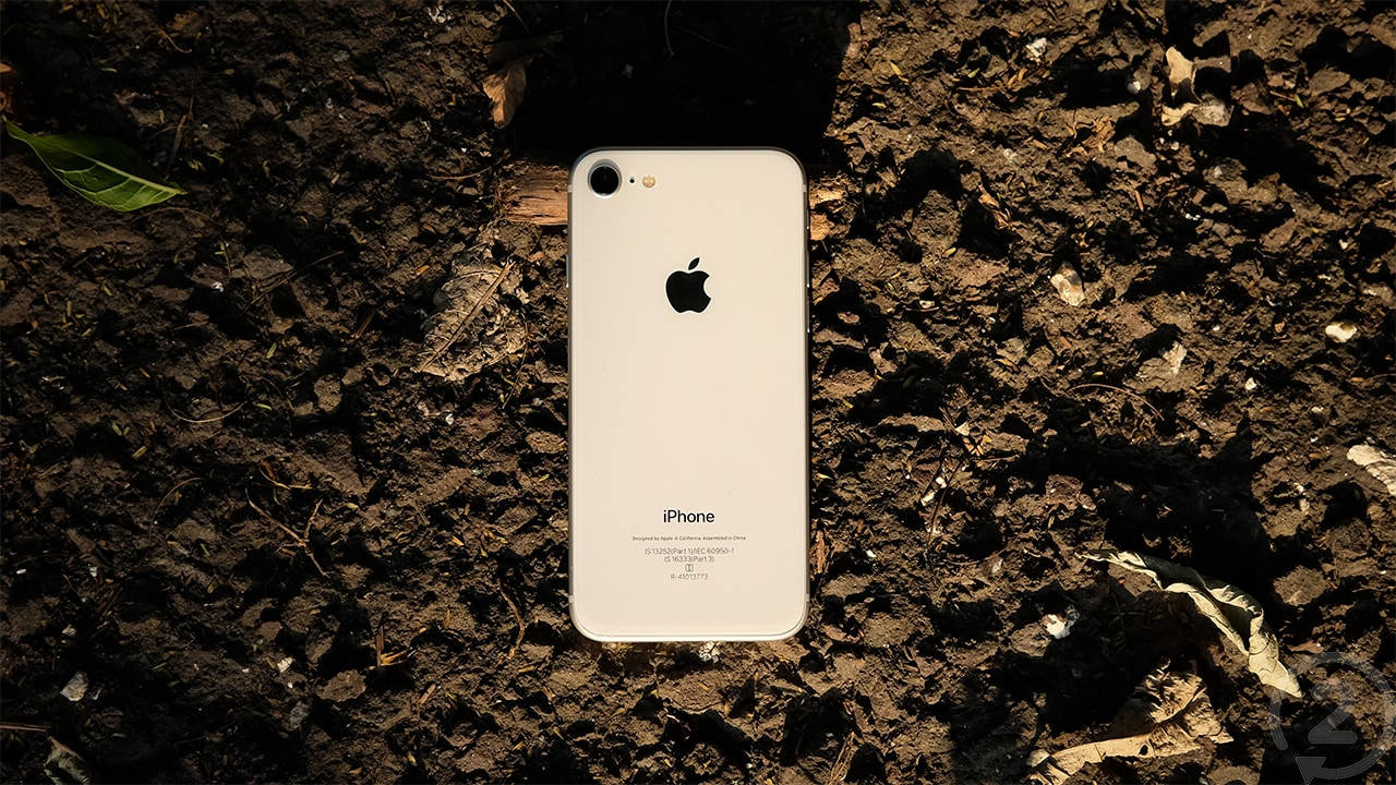 iPhone 8 桌布 壁紙 — 一部白色iPhone放在深色有紋理的泥土上，周圍散落著乾葉，附近有一片綠葉。