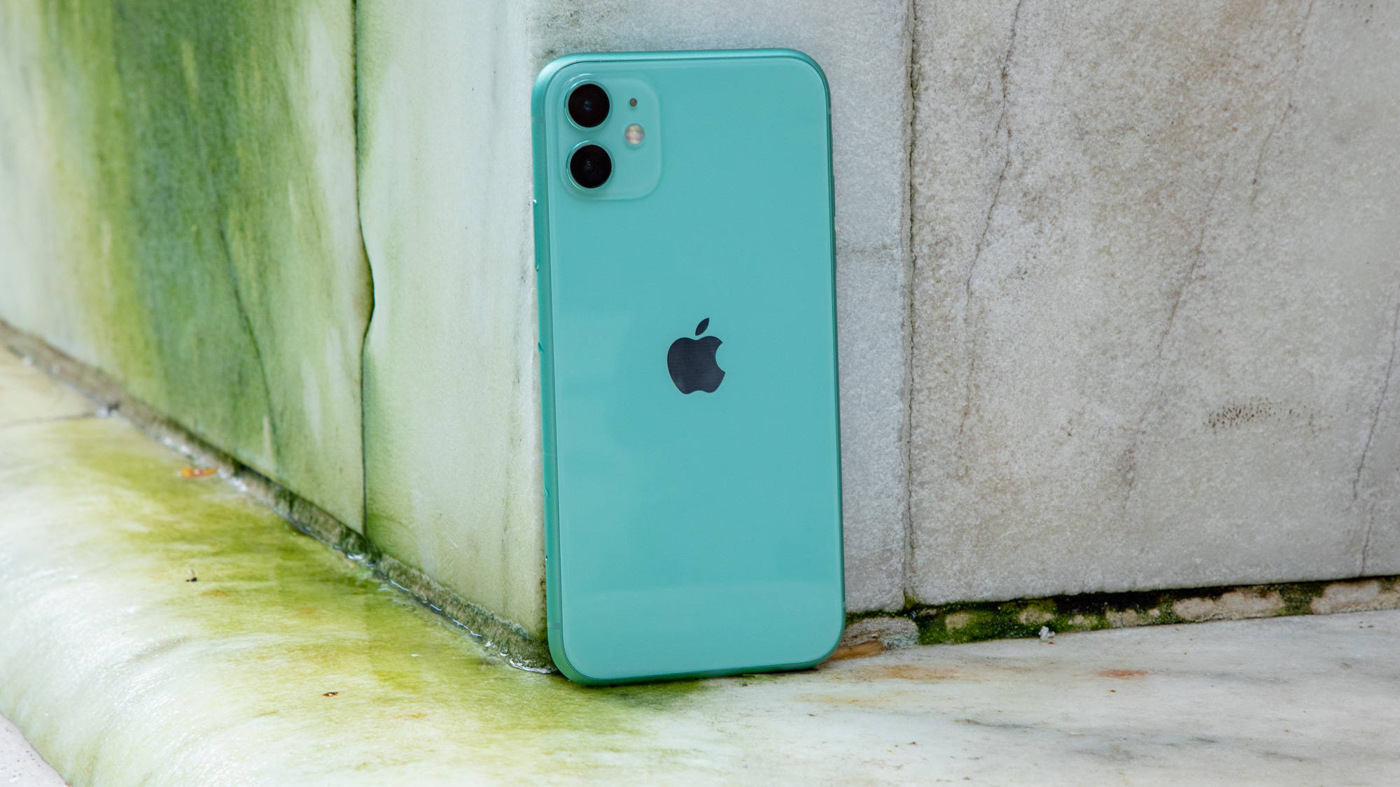 iPhone 11 桌布 壁紙 — 一部薄荷綠色的iPhone靠在一面風化的混凝土牆上，牆腳長滿了綠色苔蘚。