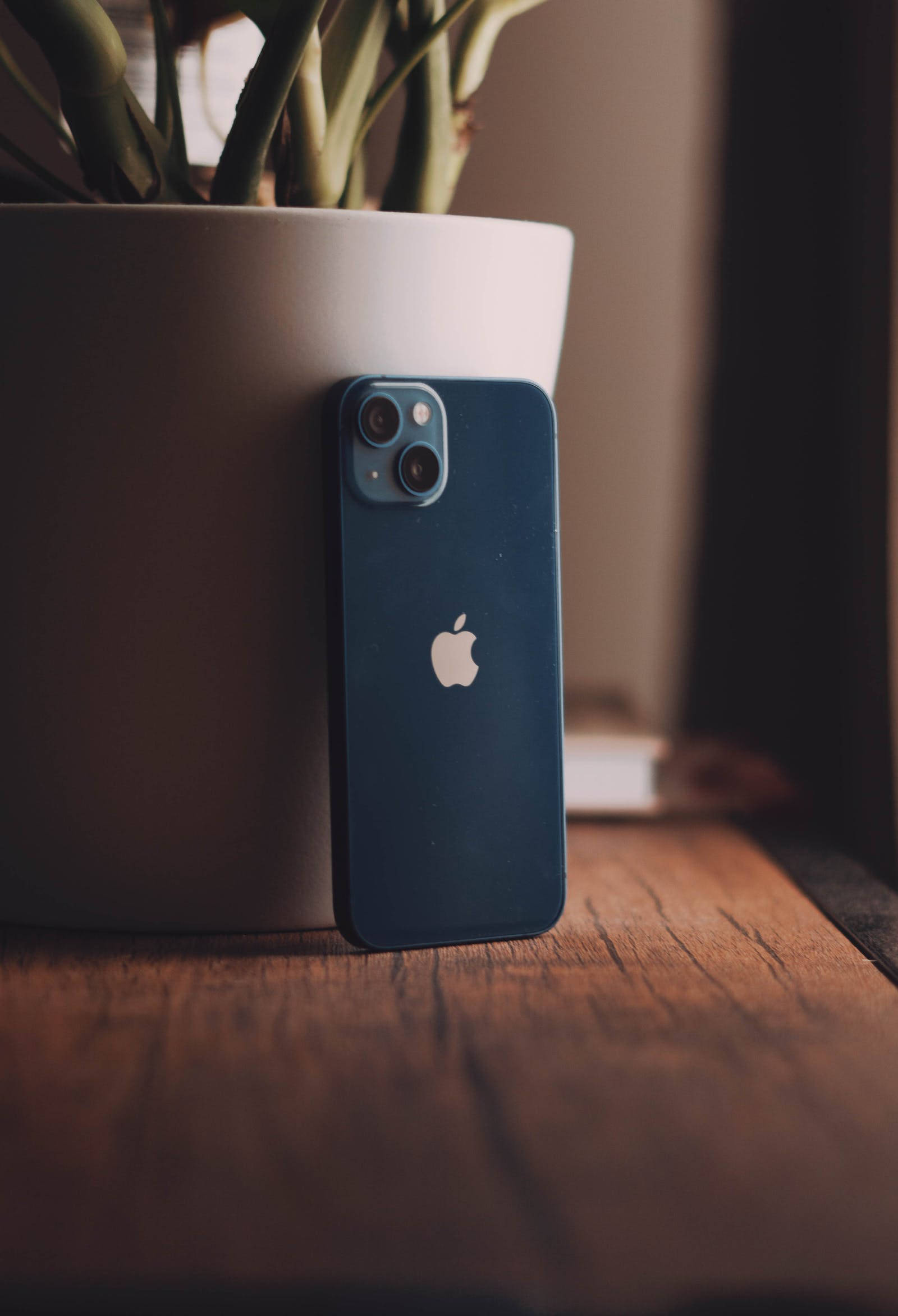 美學藍色 iPhone 桌布 壁紙 — 一部藍色iPhone靠在一個帶有綠色莖的白色花盆上，放在木質表面上，處於溫暖的室內光線中。