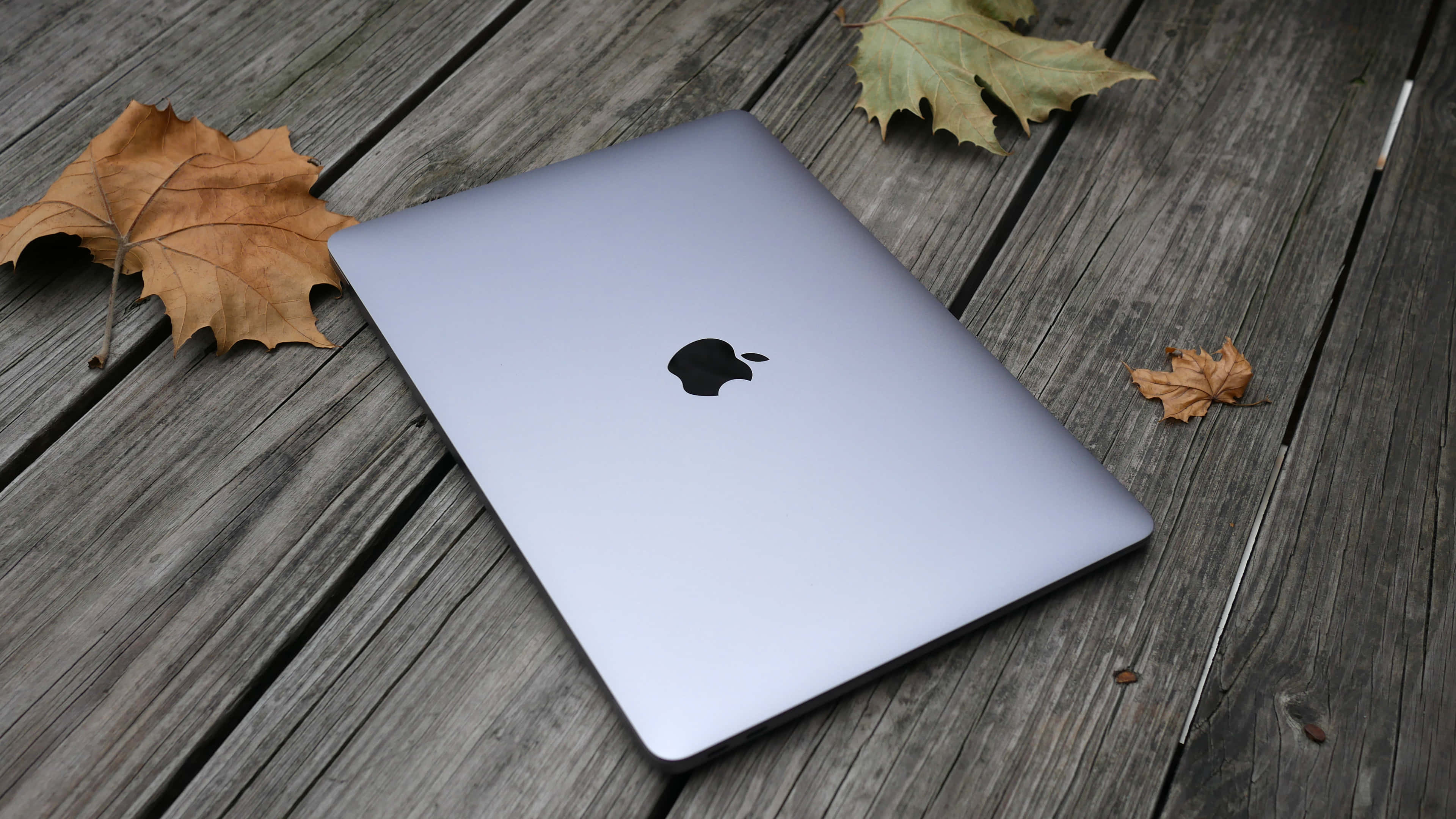 Mac 桌布 壁紙 — 一部銀色 MacBook 放在風化的木板上，周圍散落著秋天的落葉。
