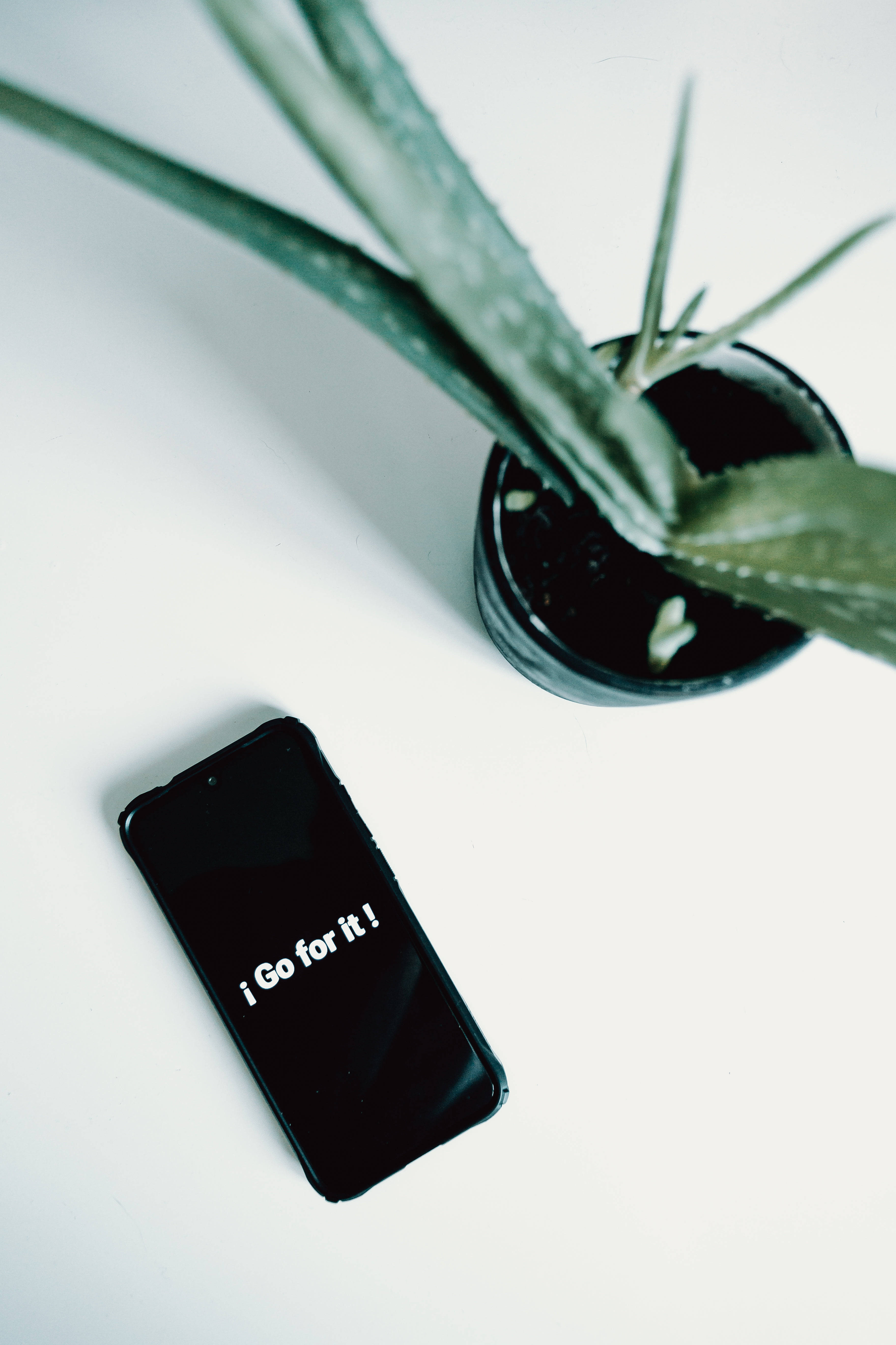 Motivation 桌布 壁紙 — 一部顯示「I Go for it!」的黑色智慧型手機，旁邊放著一盆蘆薈植物，置於簡約的白色表面上。