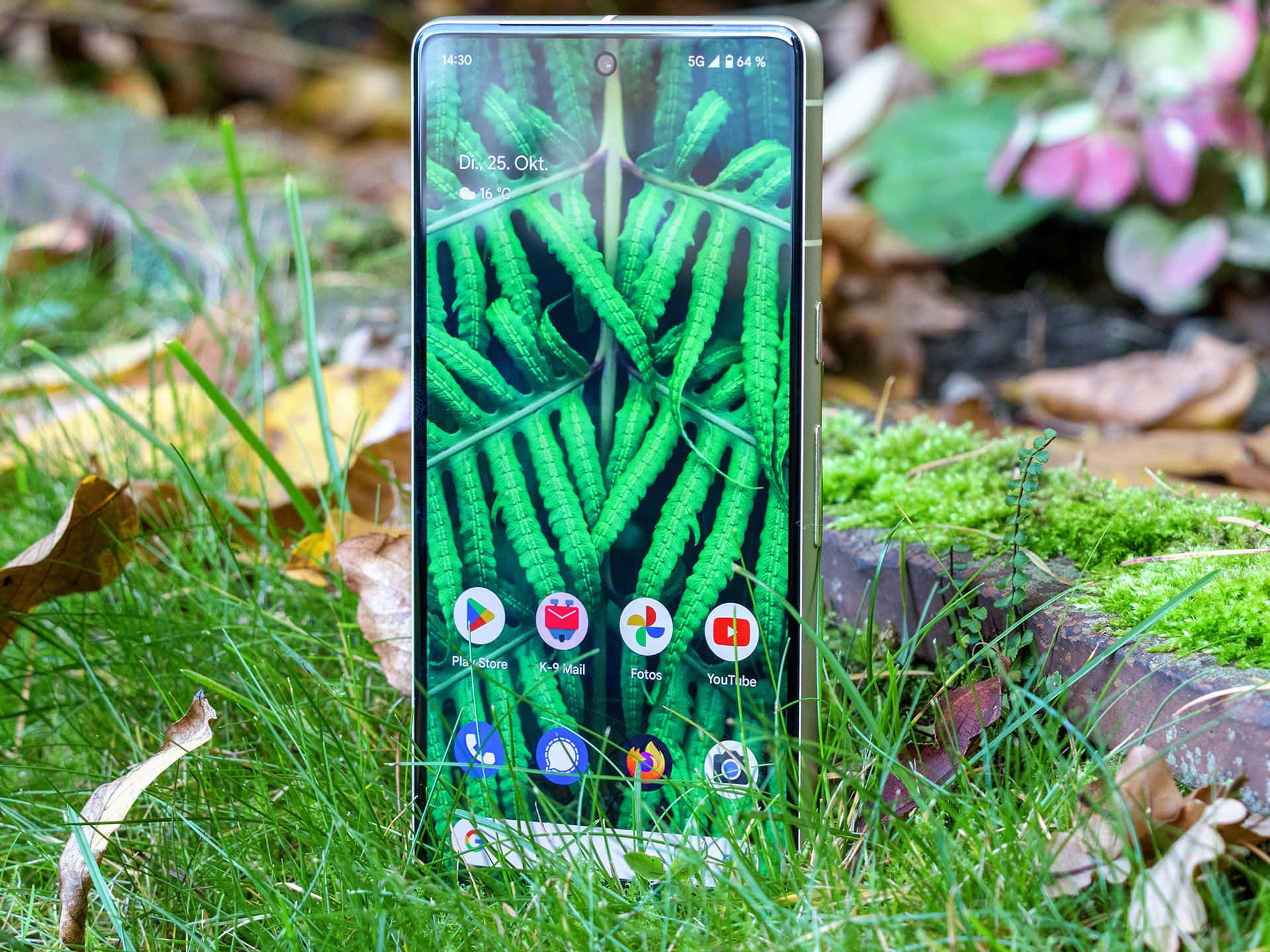 Pixel 桌布 壁紙 — 一部顯示充滿活力的綠色蕨類植物桌布的智慧型手機直立於長滿苔蘚和落葉的草地戶外環境中。