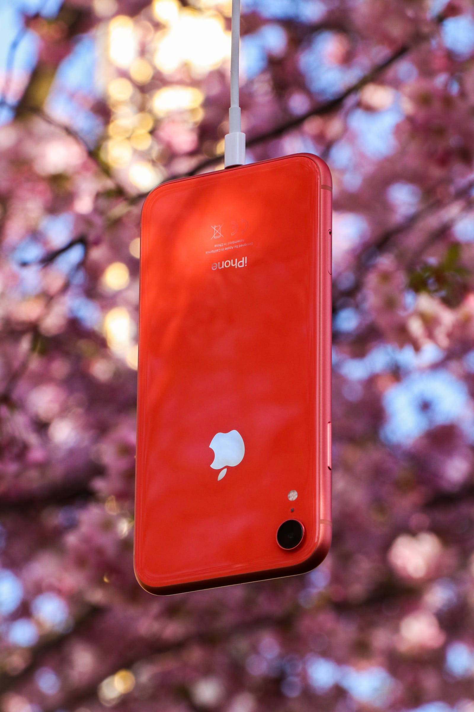 Nature iPhone 桌布 壁紙 — 一部鮮紅色的iPhone懸掛在充電線上，背景是柔和的粉紅櫻花和斑駁的陽光。
