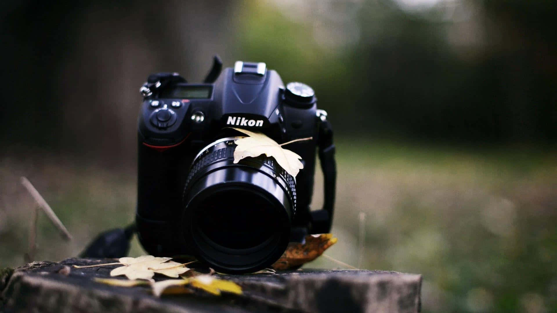 Dslr 桌布 壁紙 — 一部黑色 Nikon DSLR 相機放在森林環境中的樹樁上，周圍散落著秋葉。