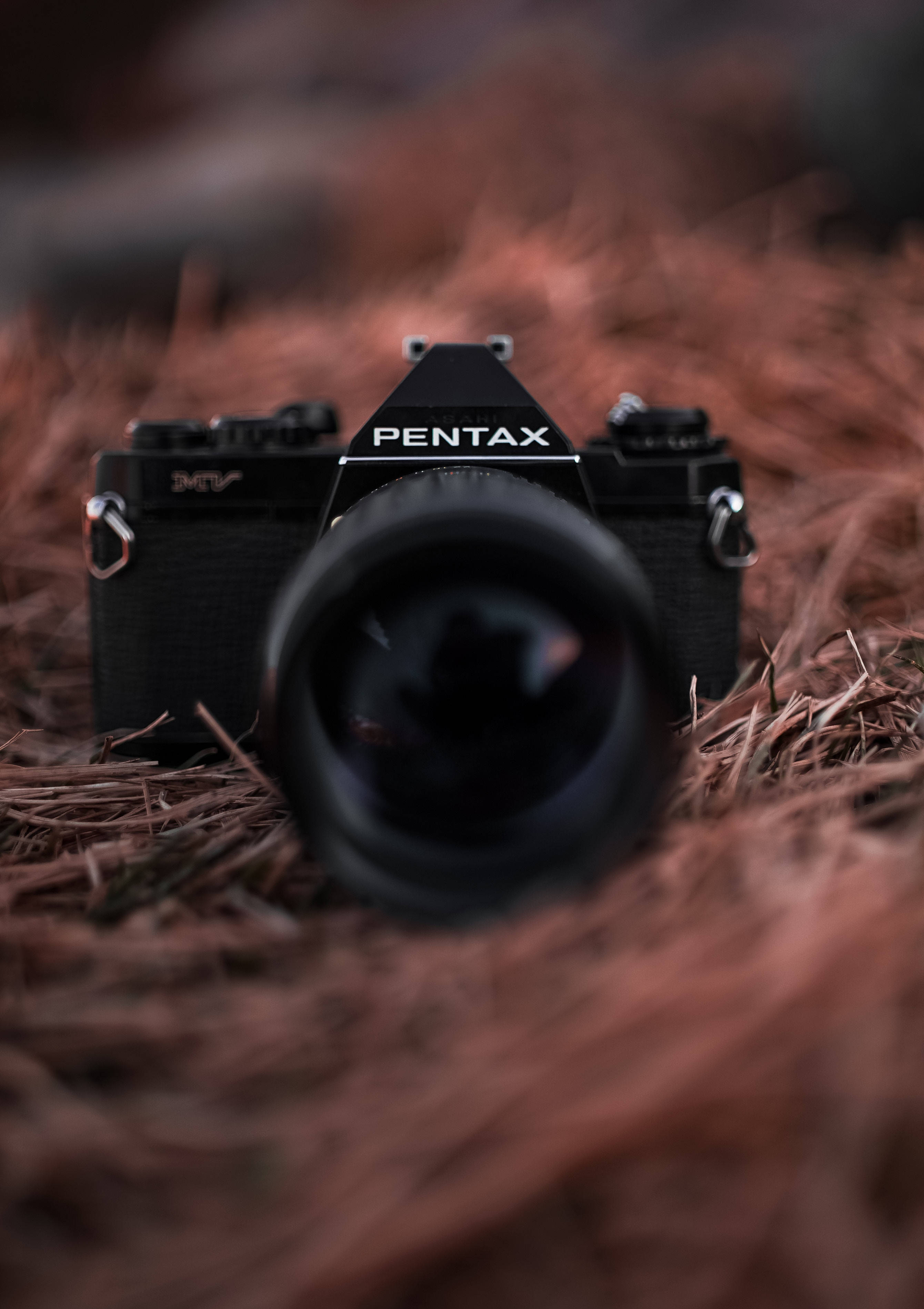 photo 桌布 壁紙 — 一部黑色 Pentax 底片相機放在紅褐色松針床上，景深較淺。