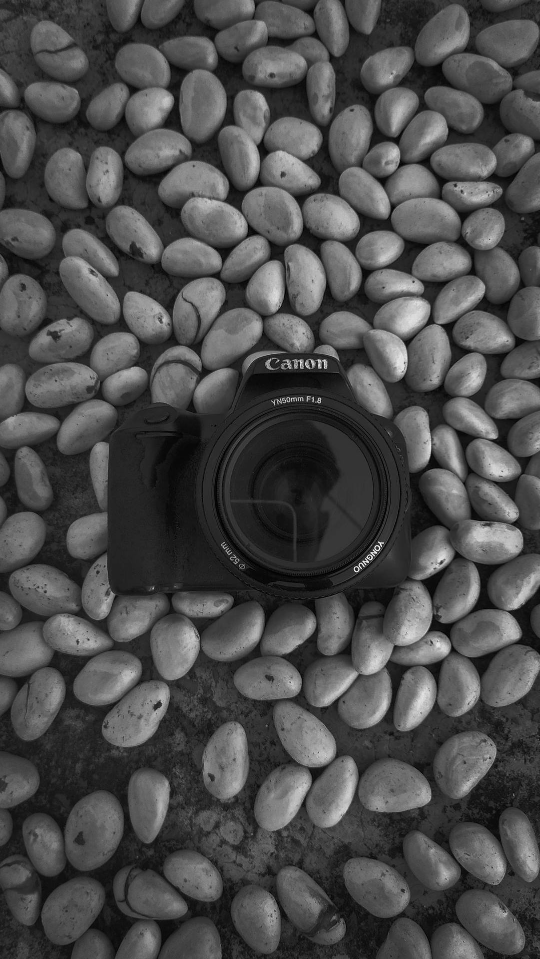黑白 桌布 壁紙 — 一部黑色Canon DSLR相機以單色調放置在光滑圓石床上。