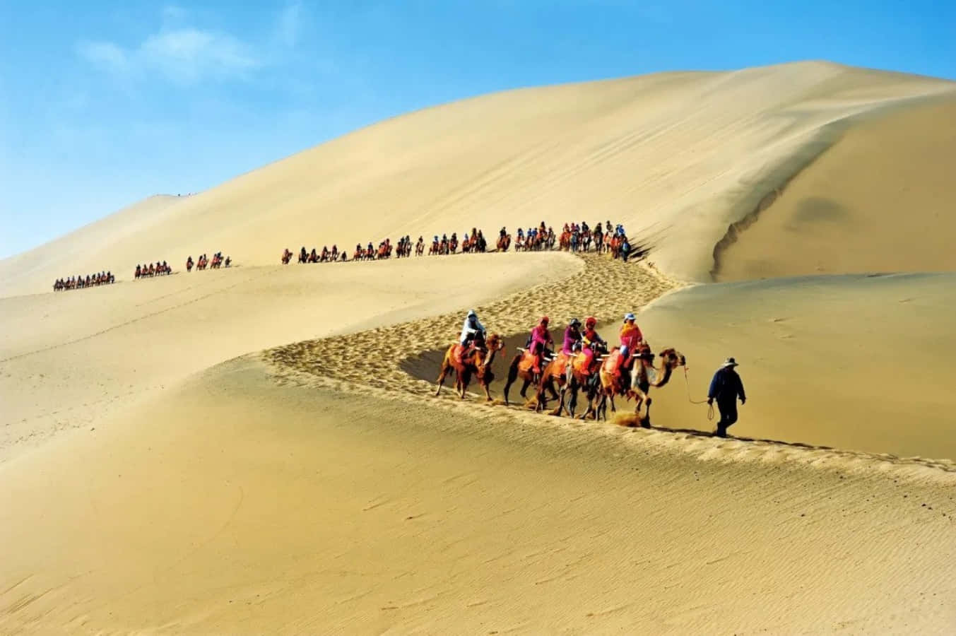adventure 桌布 壁紙 — 一長列駱駝商隊與騎手在晴朗的藍天下穿越金色沙丘。