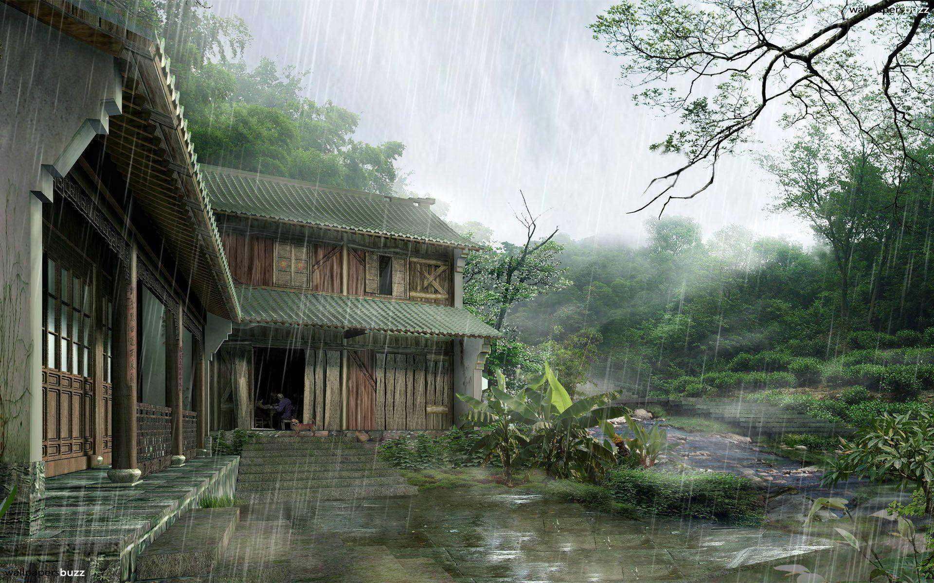 房屋 桌布 壁紙 — 一間傳統木屋坐落於茂密翠綠的森林中，在傾盆大雨下瀰漫著霧氣。