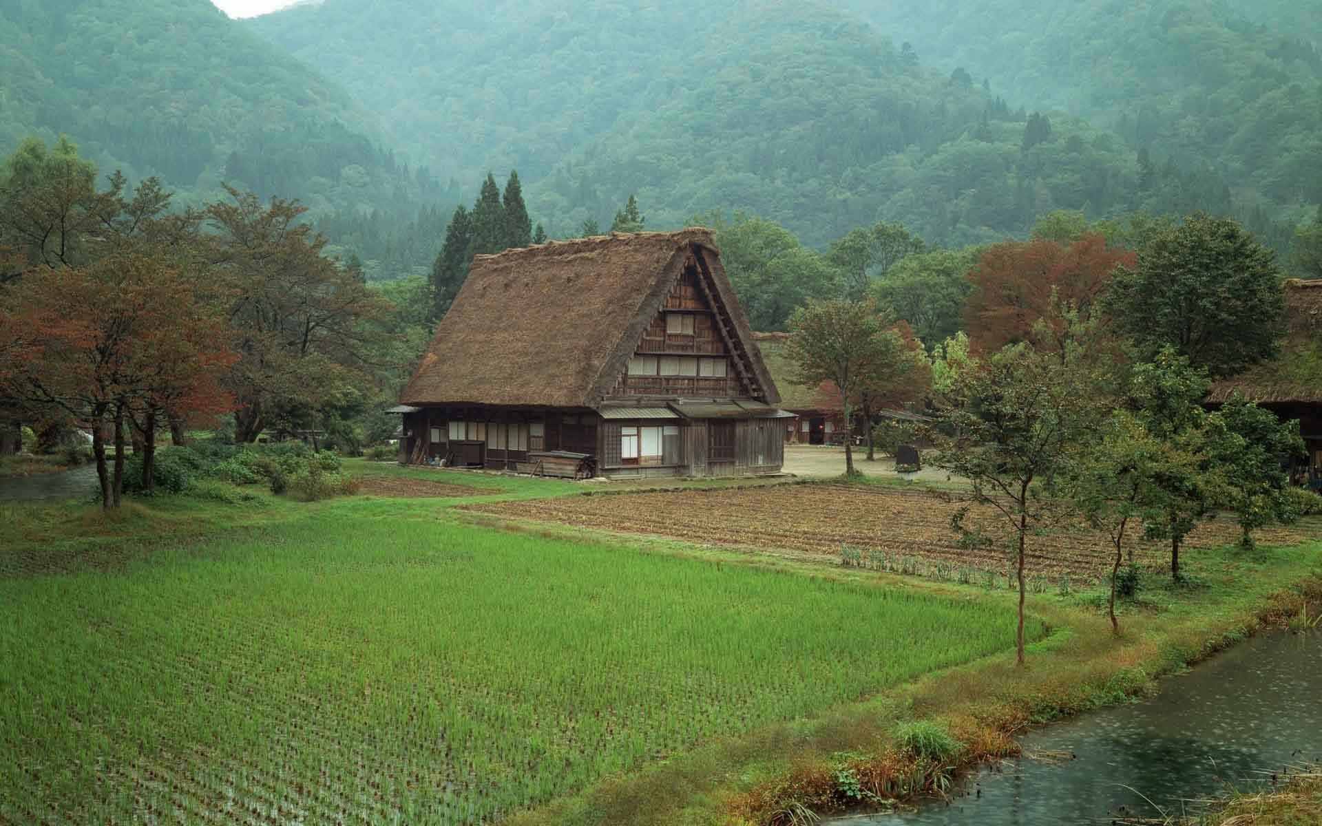 鄉村 桌布 壁紙 — 一間傳統茅草屋頂的日本農舍坐落在霧氣瀰漫的山谷中，旁邊是翠綠的稻田和蜿蜒的小溪。