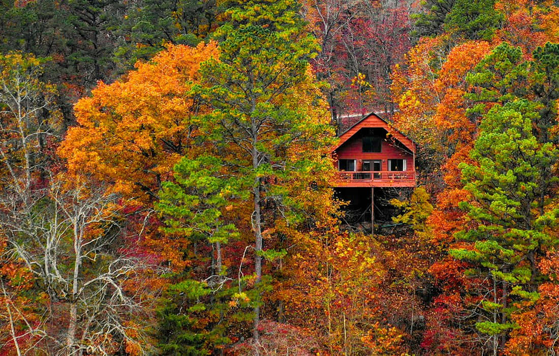 Fall Cabin 桌布 壁紙 — 一間充滿活力的紅色小屋，坐落在秋樹之間，有火紅的橙色和綠色樹葉。