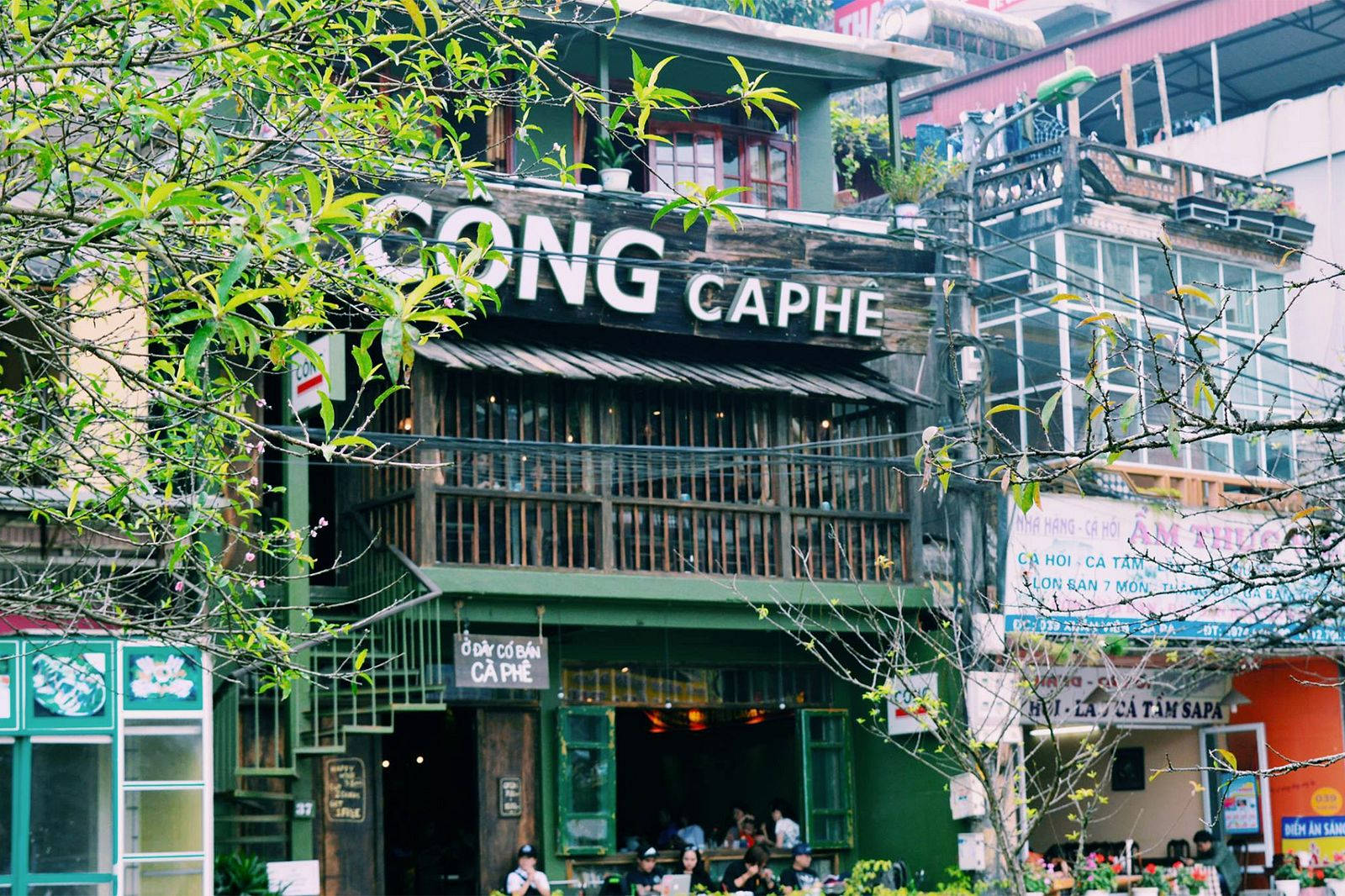 Hanoi 桌布 壁紙 — 一間充滿活力的綠色咖啡店，木製陽台和茂密的樹枝框住了入口，位於繁華的城市街道上。