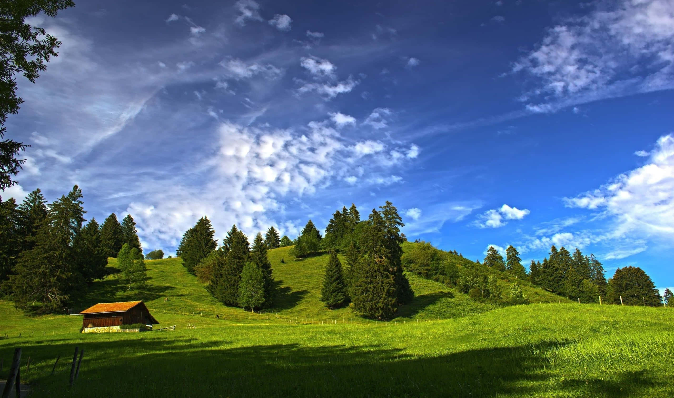風景 桌布 壁紙 — 一間孤獨的木屋坐落於陽光明媚的綠色山丘上，點綴著常青樹，上方是廣闊的藍天和蓬鬆的白雲。