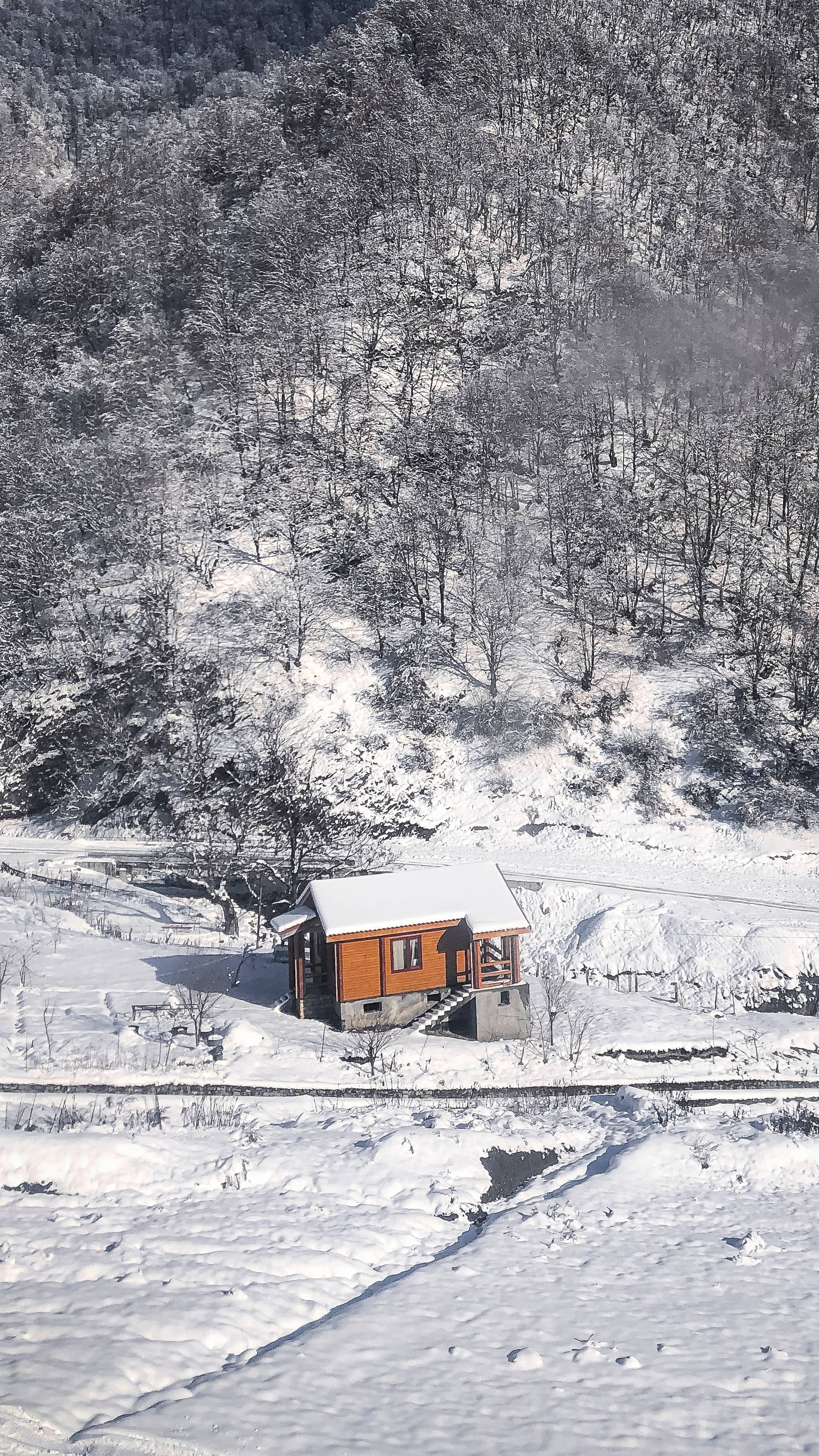 Azerbaijan 桌布 壁紙 — 一間孤獨的橙色小屋坐落在白雪覆蓋的森林山谷中，沐浴在明亮的冬日陽光下。