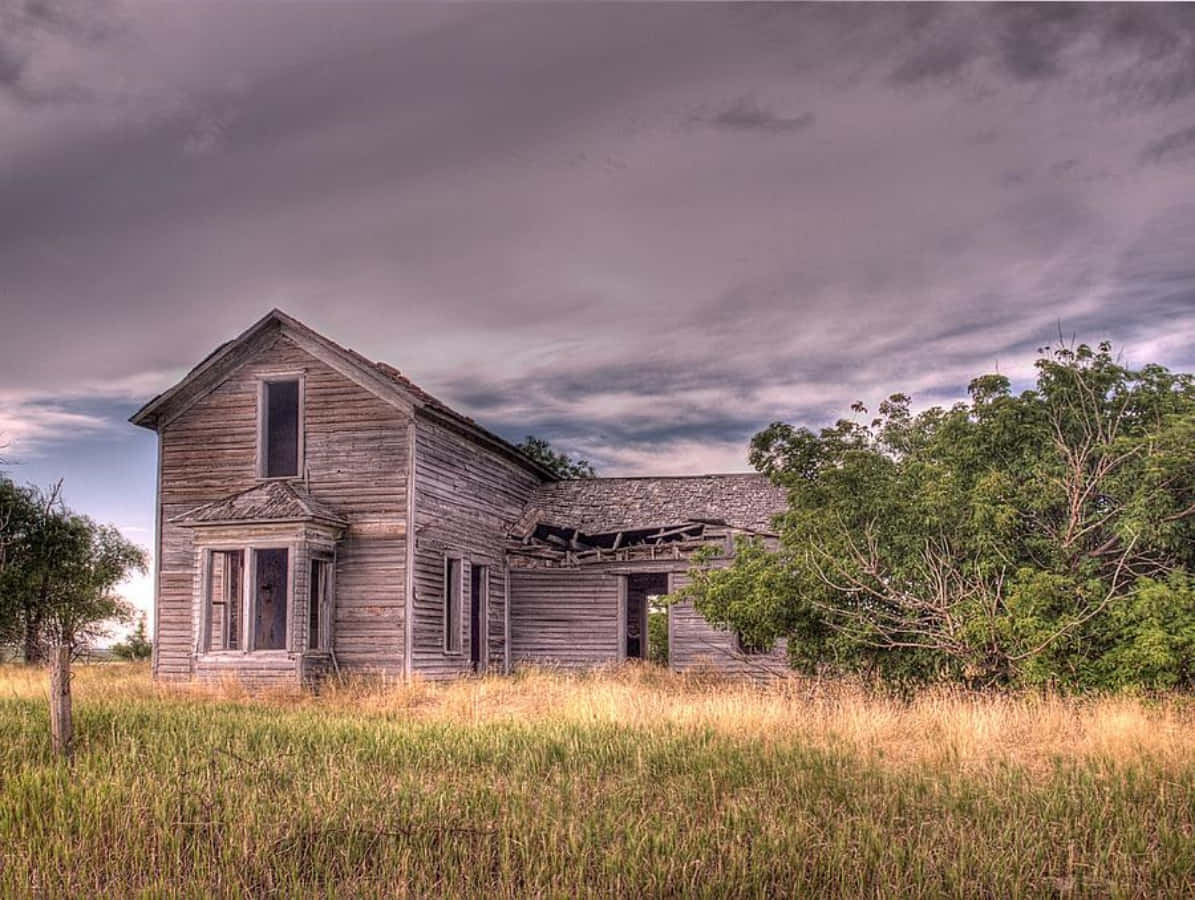 Old Farm 桌布 壁紙 — 一間廢棄的木屋，窗戶破損，屋頂坍塌，孤獨地矗立在暴風雨灰色天空下的高草田野中。