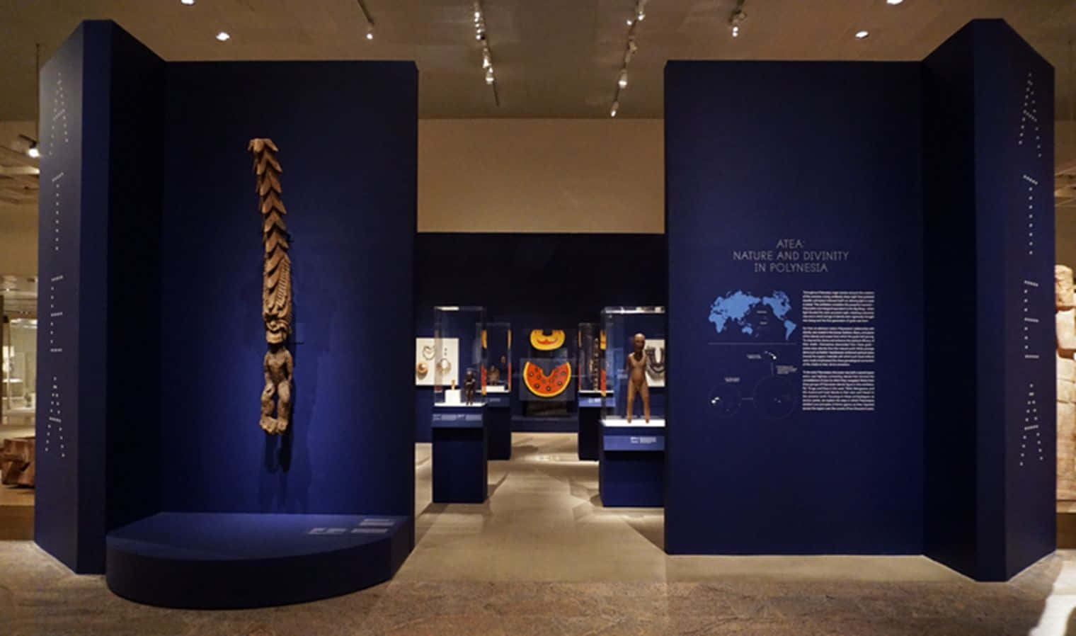 Exhibition 桌布 壁紙 — 一間擁有深藍色牆壁的博物館畫廊，在溫暖的頭頂燈光下展示古代波利尼西亞文物。
