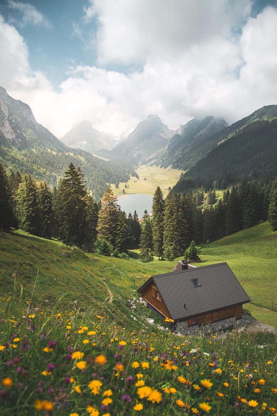cabin 桌布 壁紙 — 一間木屋坐落在陽光明媚、開滿野花的草地上，俯瞰寧靜的山間湖泊。