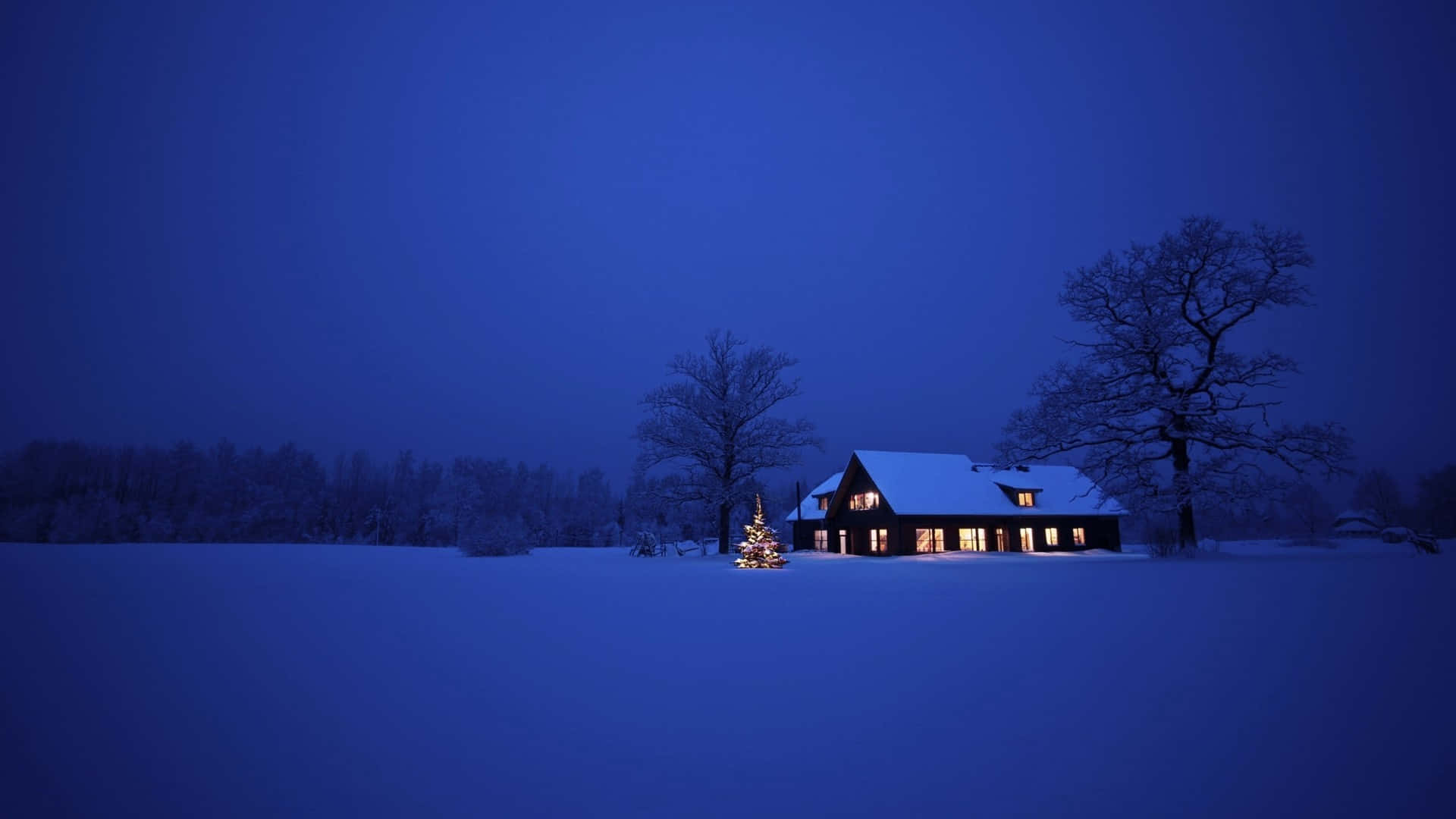 Winter 桌布 壁紙 — 一間溫馨的小屋在深藍色的冬日天空下，旁邊有一棵被雪覆蓋的聖誕樹，溫暖的燈光閃爍著。