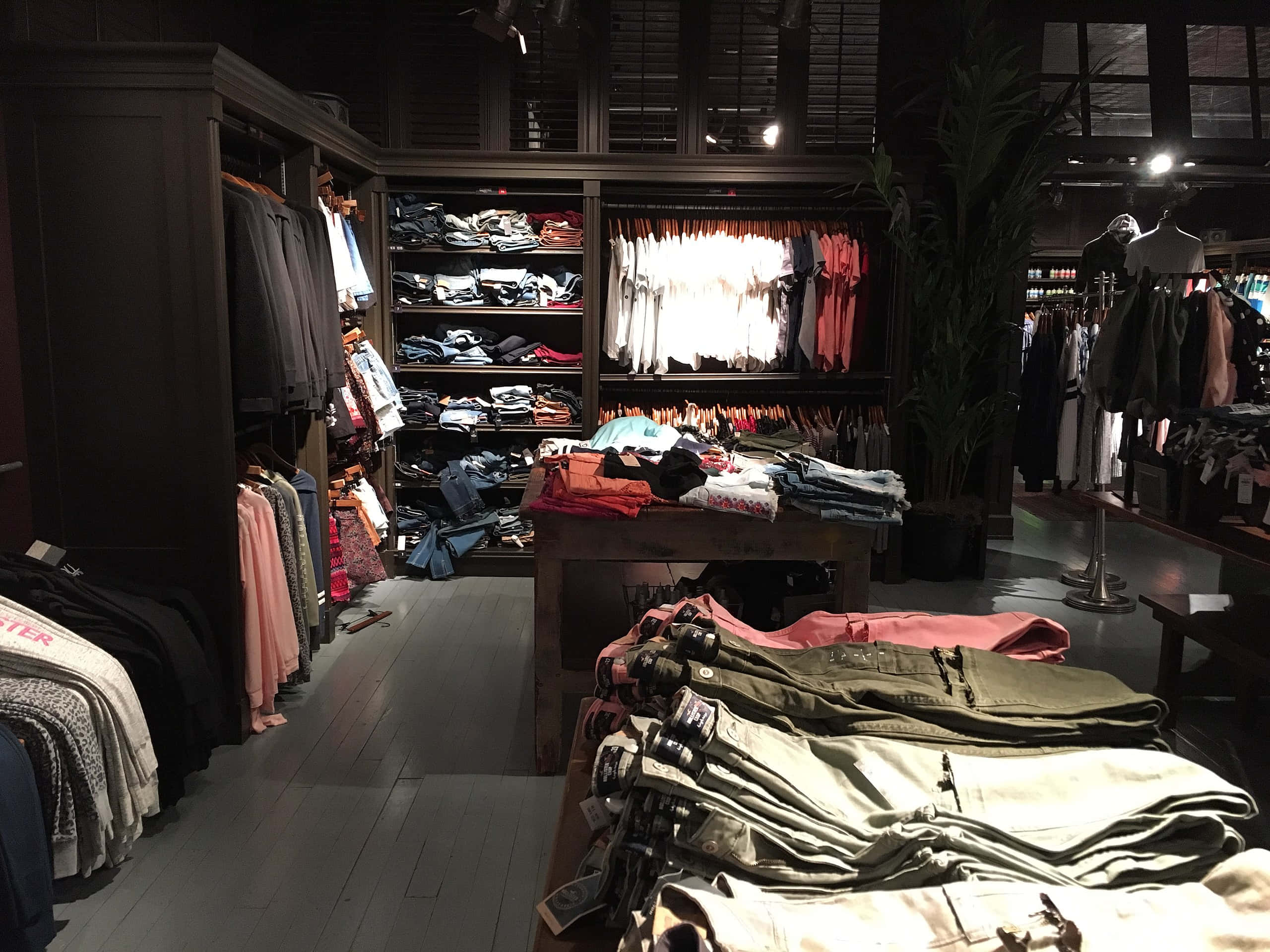 Hollister 桌布 壁紙 — 一間燈光昏暗的精品店，在溫暖的聚光燈和高大盆栽植物下整齊地摺疊和懸掛著衣物。
