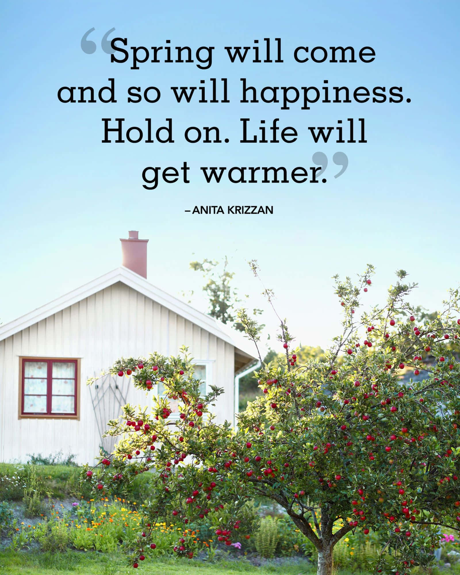 Spring Inspirational 桌布 壁紙 — 一間白色小屋配紅色窗框，矗立在一棵盛開的蘋果樹後面，樹上掛滿紅色果實，背景是清澈的藍天。