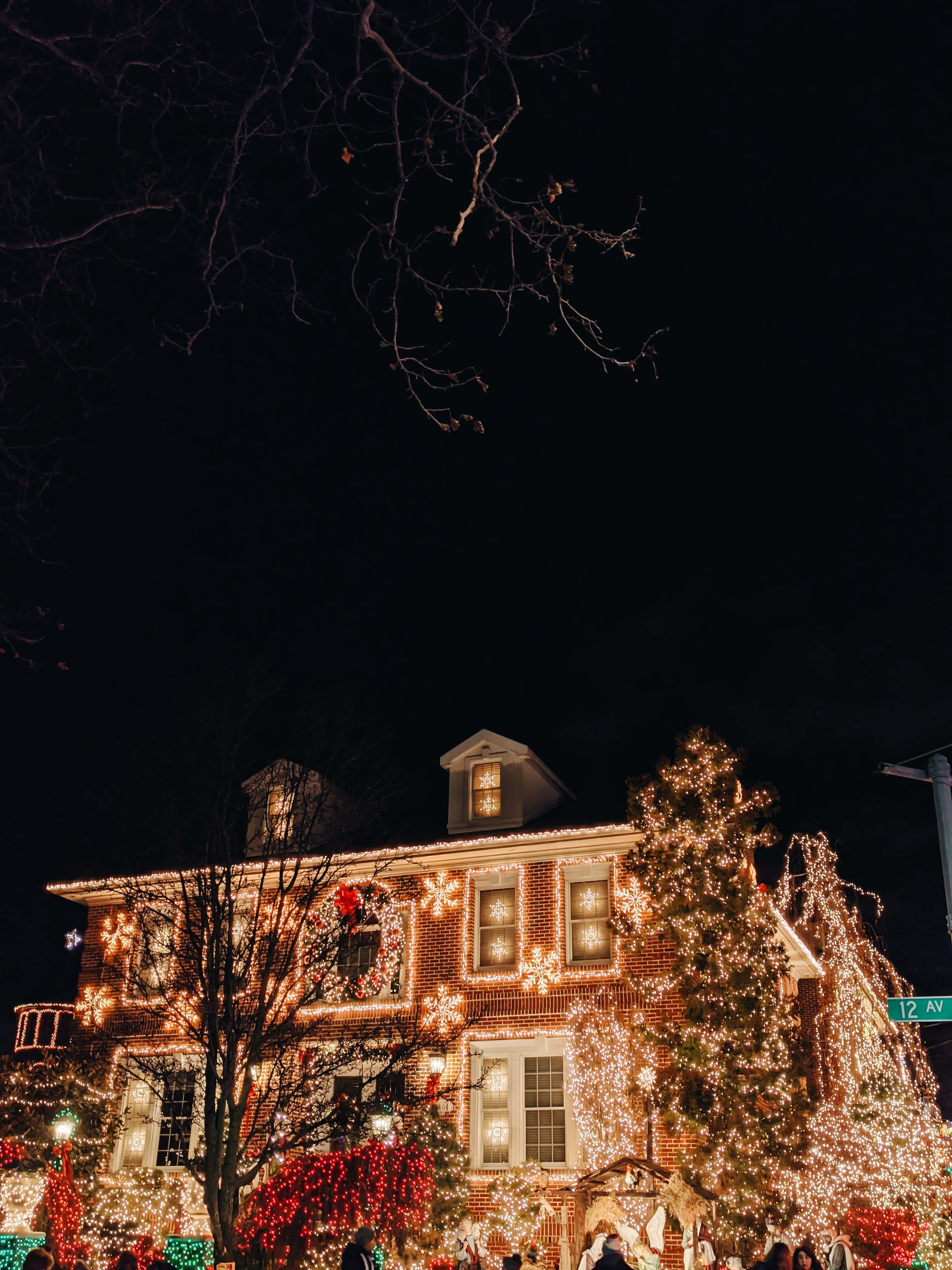Christmas Light 桌布 壁紙 — 一間磚屋在漆黑的夜空下，頭頂有光禿禿的樹枝，閃爍著節日聖誕燈飾。