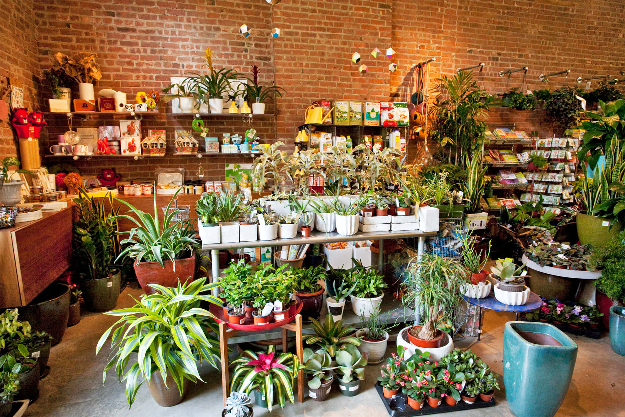 Florist 桌布 壁紙 — 一間舒適的室內植物店，擺滿了各種盆栽的茂盛綠色植物，背景是裸露的磚牆和木架。
