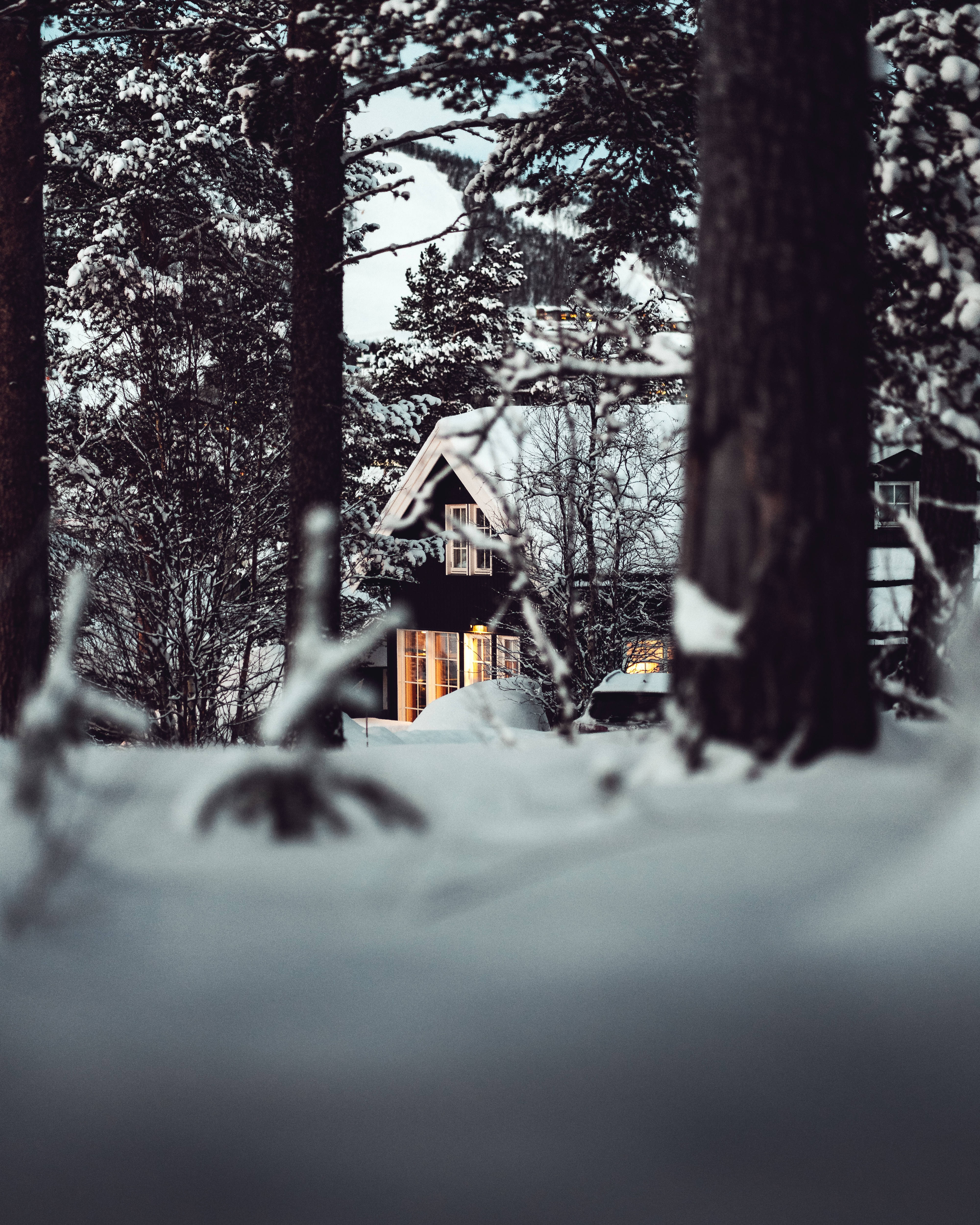 房屋 桌布 壁紙 — 一間舒適的小屋坐落在白雪皚皚的森林中，溫暖的燈光透過被雪覆蓋的樹木環繞的窗戶閃爍。