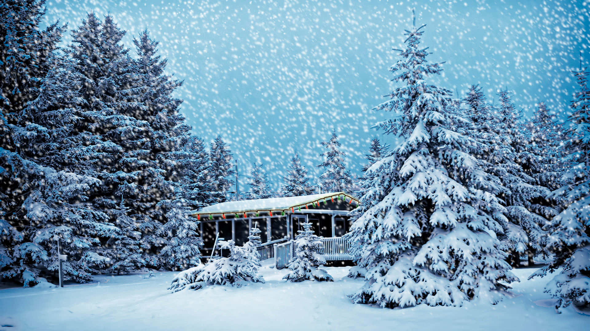 Snow Falling 桌布 壁紙 — 一間舒適的小屋坐落在積雪的常青樹中，在冬日溫和的降雪下。