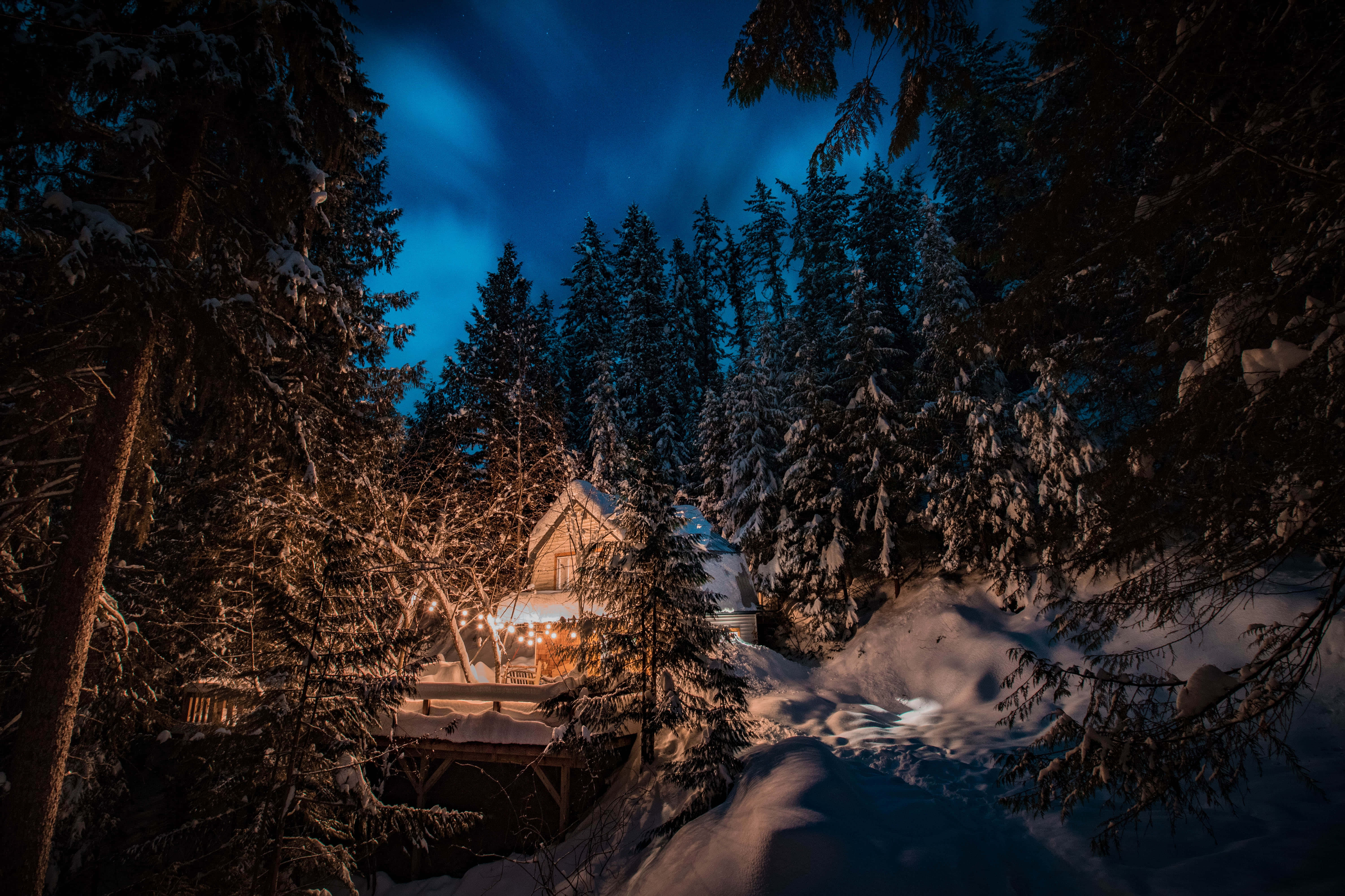 Christmas Snow 桌布 壁紙 — 一間舒適的小屋坐落在雪夜的森林中，在繁星點點的藍天下溫暖地發光。