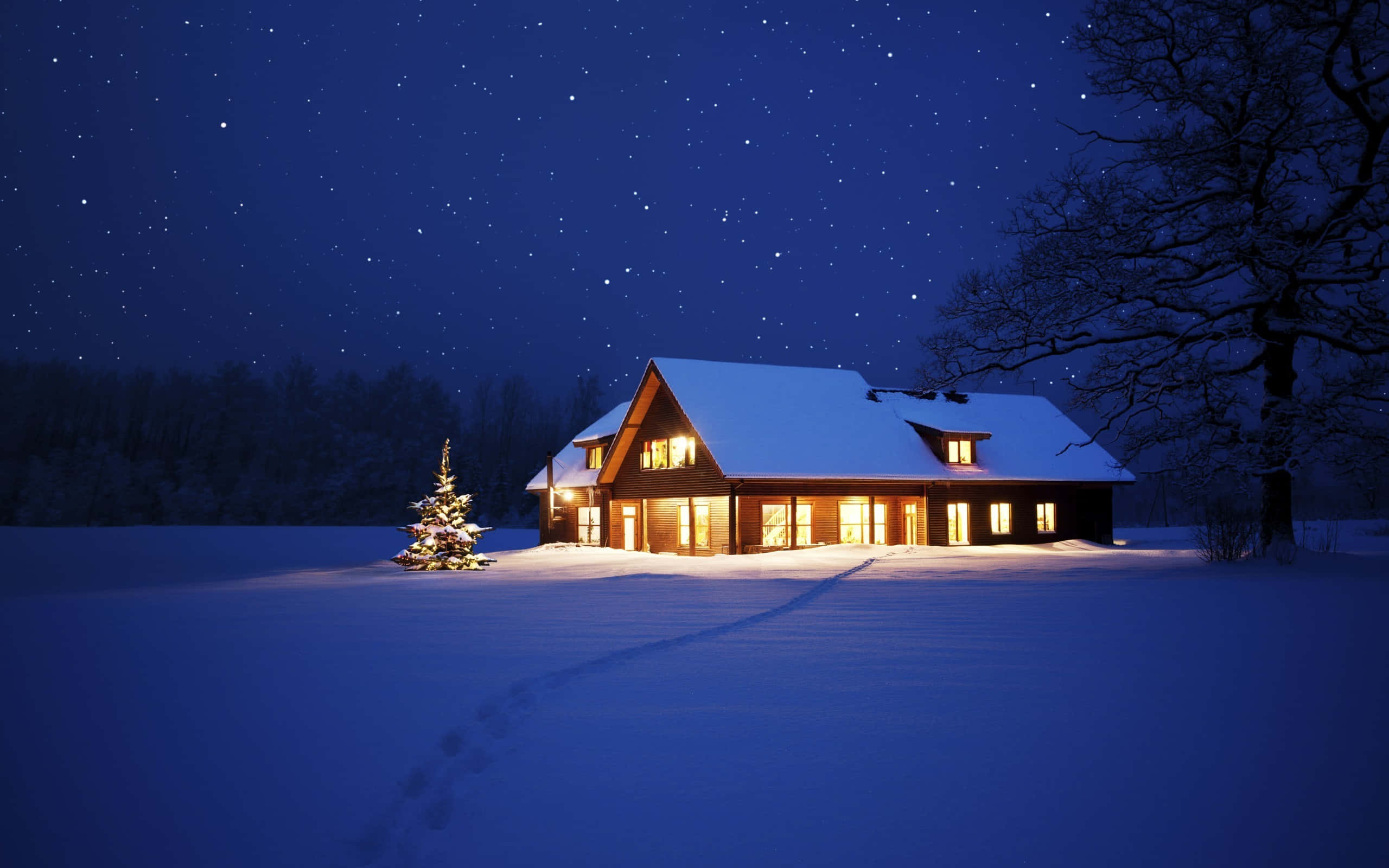 Winter 桌布 壁紙 — 一間舒適的木屋，在繁星點點的冬夜天空下溫暖地發光，地面覆蓋著雪，附近有一棵裝飾好的樹。