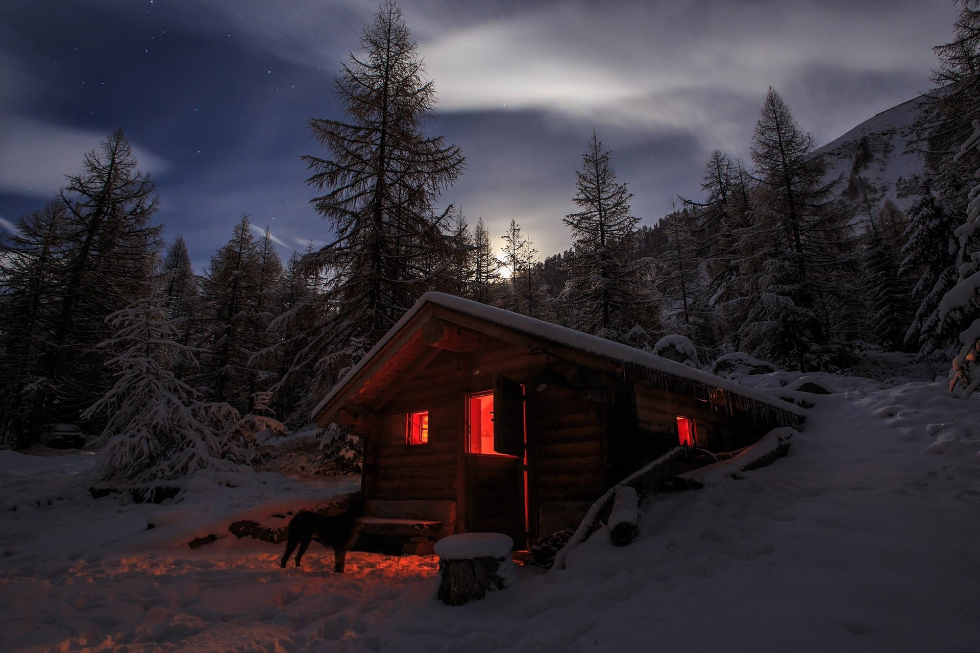 Alps 桌布 壁紙 — 一間舒適的木屋在星空的冬夜下溫暖地發光，周圍是白雪覆蓋的松樹。