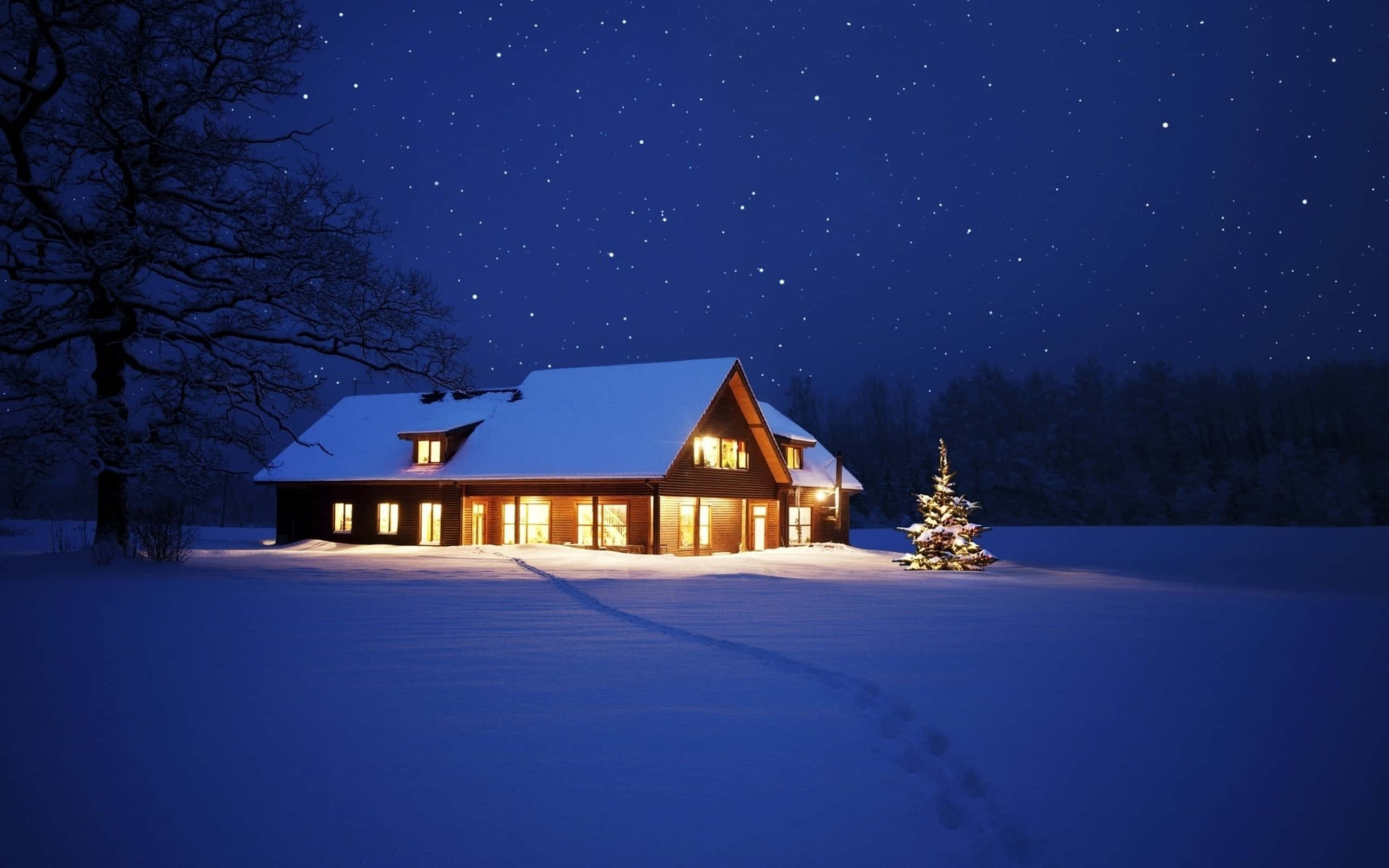 Christmas Snow 桌布 壁紙 — 一間舒適的木屋在繁星點點的冬夜天空下溫暖地發光，地上覆蓋著雪，附近有一棵裝飾好的樹。