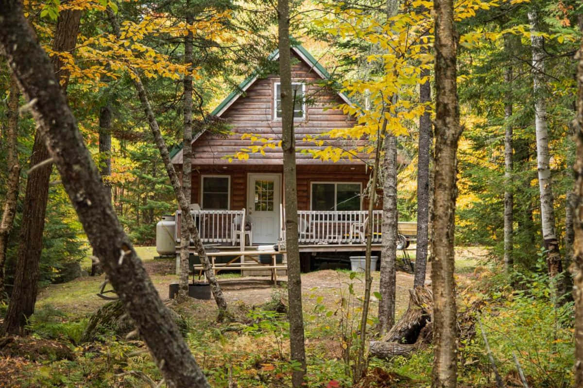 Fall Cabin 桌布 壁紙 — 一間舒適的木屋坐落在森林中，門廊周圍的秋葉閃耀著金色和綠色。