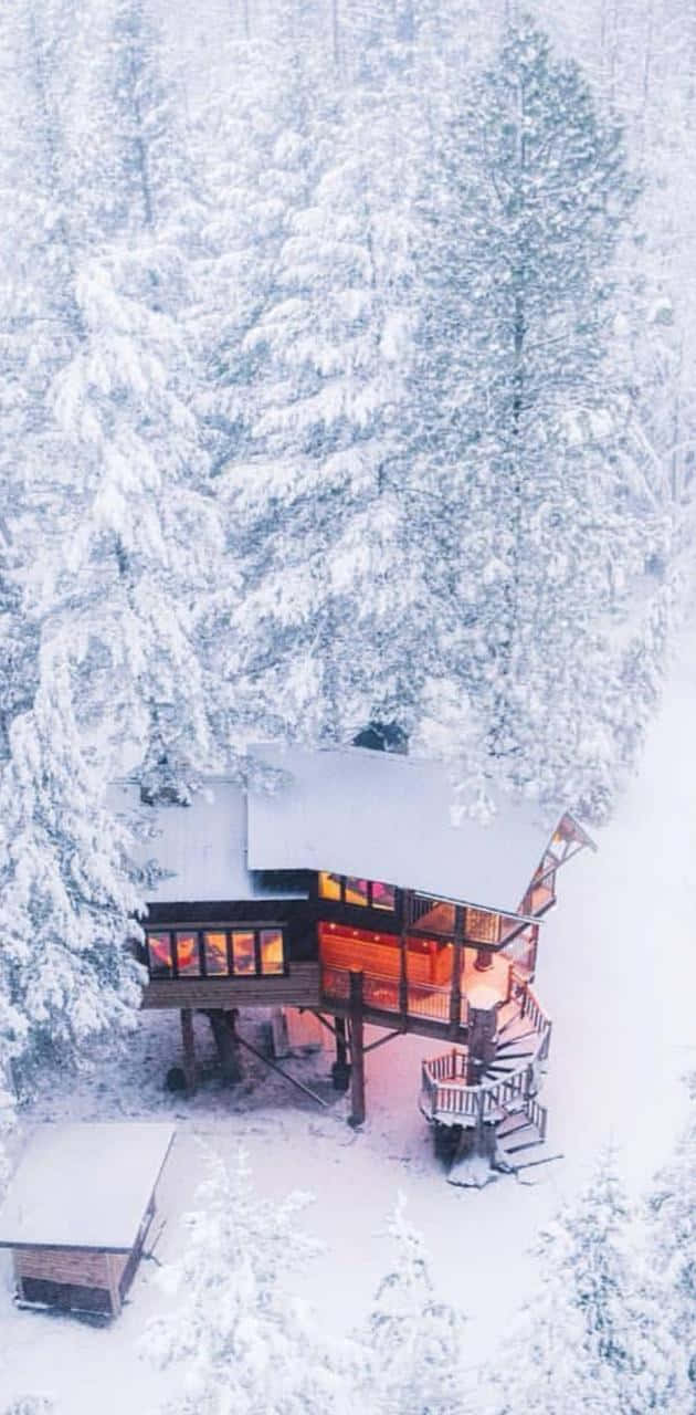 Snowy Mountain 桌布 壁紙 — 一間舒適的木屋坐落在白雪覆蓋的松樹林中，從內部散發出溫暖的光芒。