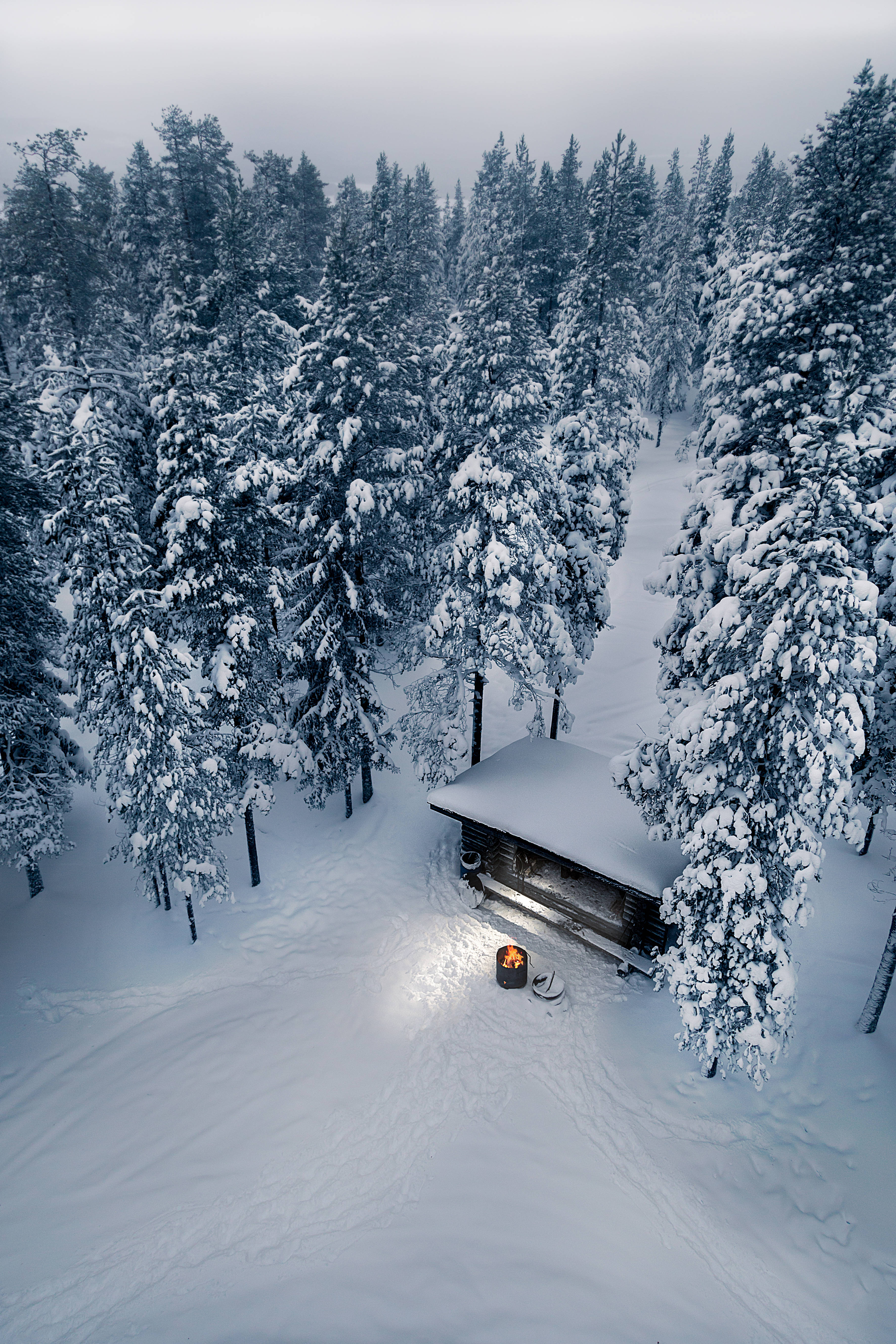 Finland 桌布 壁紙 — 一間舒適的木屋坐落在白雪覆蓋的松樹林中，天空陰沉，附近有溫暖的火光閃爍。