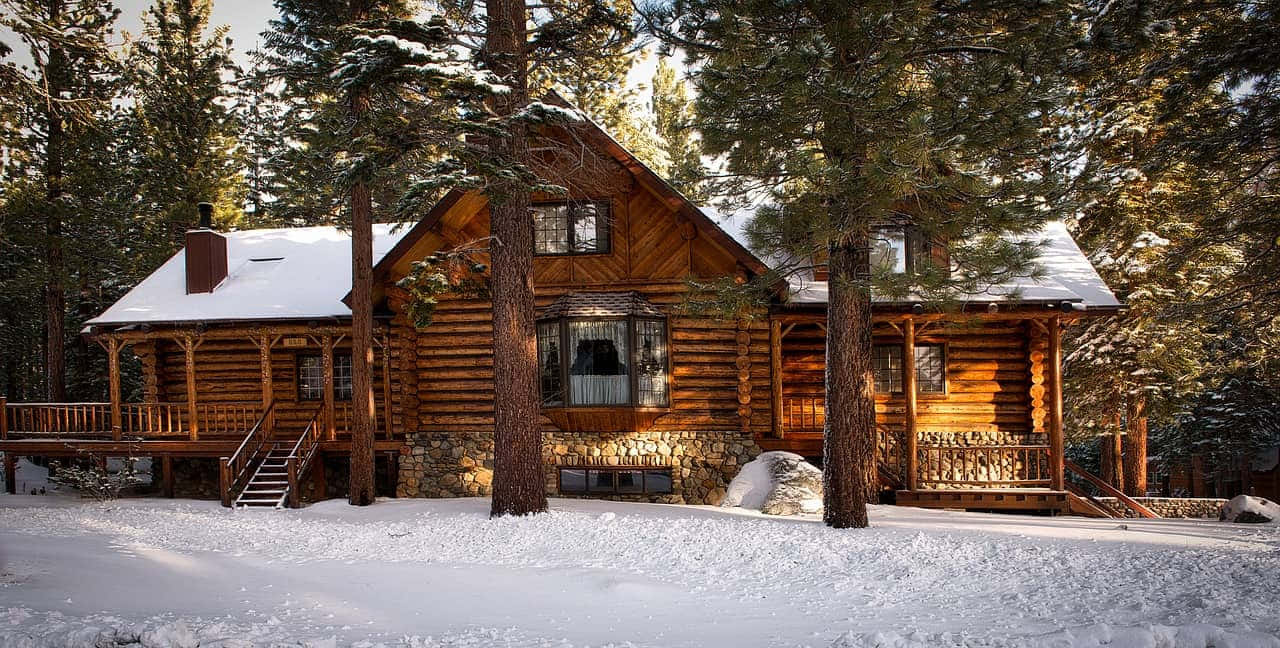 Cozy Winter Cabin 桌布 壁紙 — 一間舒適的木屋坐落在白雪覆蓋的松樹林中，沐浴在溫暖的金色陽光下。