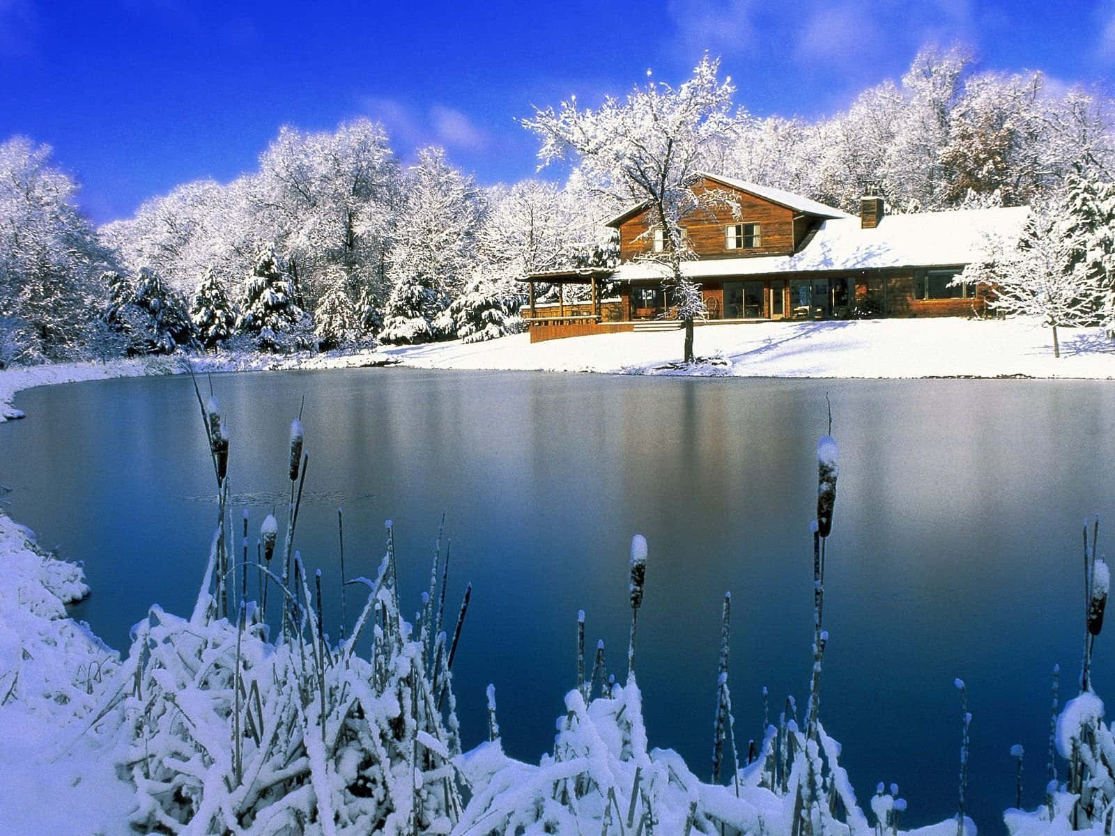 Lake 桌布 壁紙 — 一間舒適的木屋坐落在白雪覆蓋的湖邊，頭頂是清澈湛藍的冬日天空。