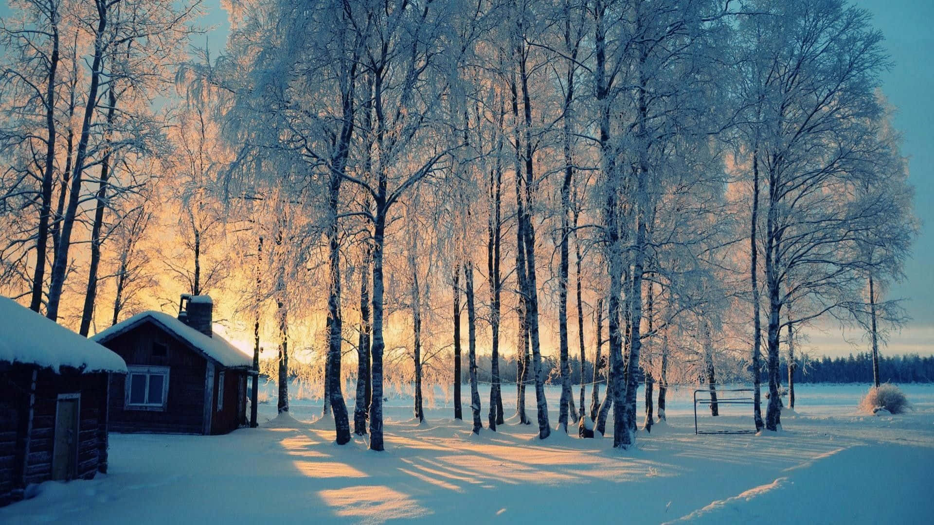 冬季桌面 桌布 壁紙 — 一間舒適的木屋坐落在白雪覆蓋的白樺林中，沐浴在金色的日出光芒中。